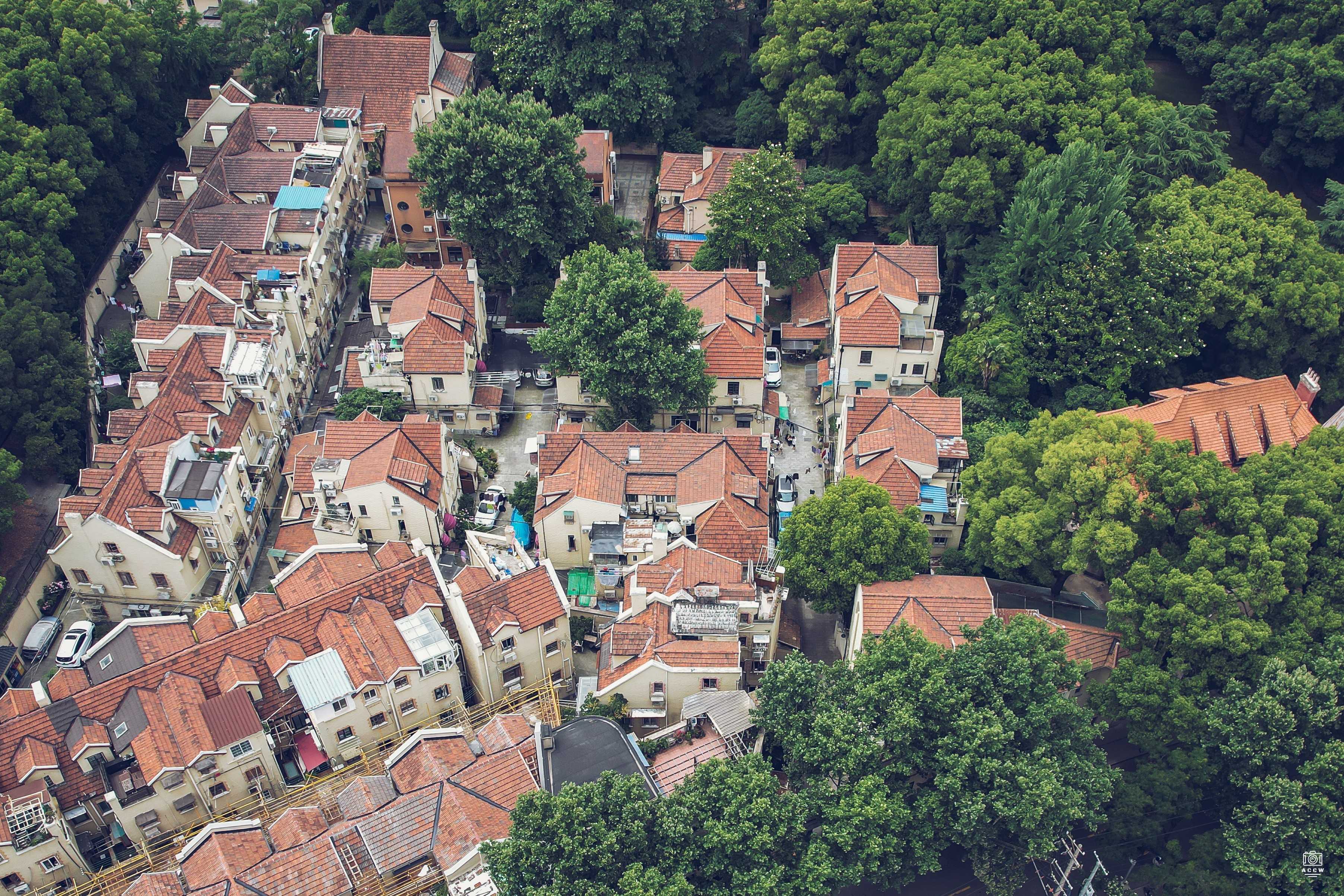 永嘉路495弄花园住宅群 图片2