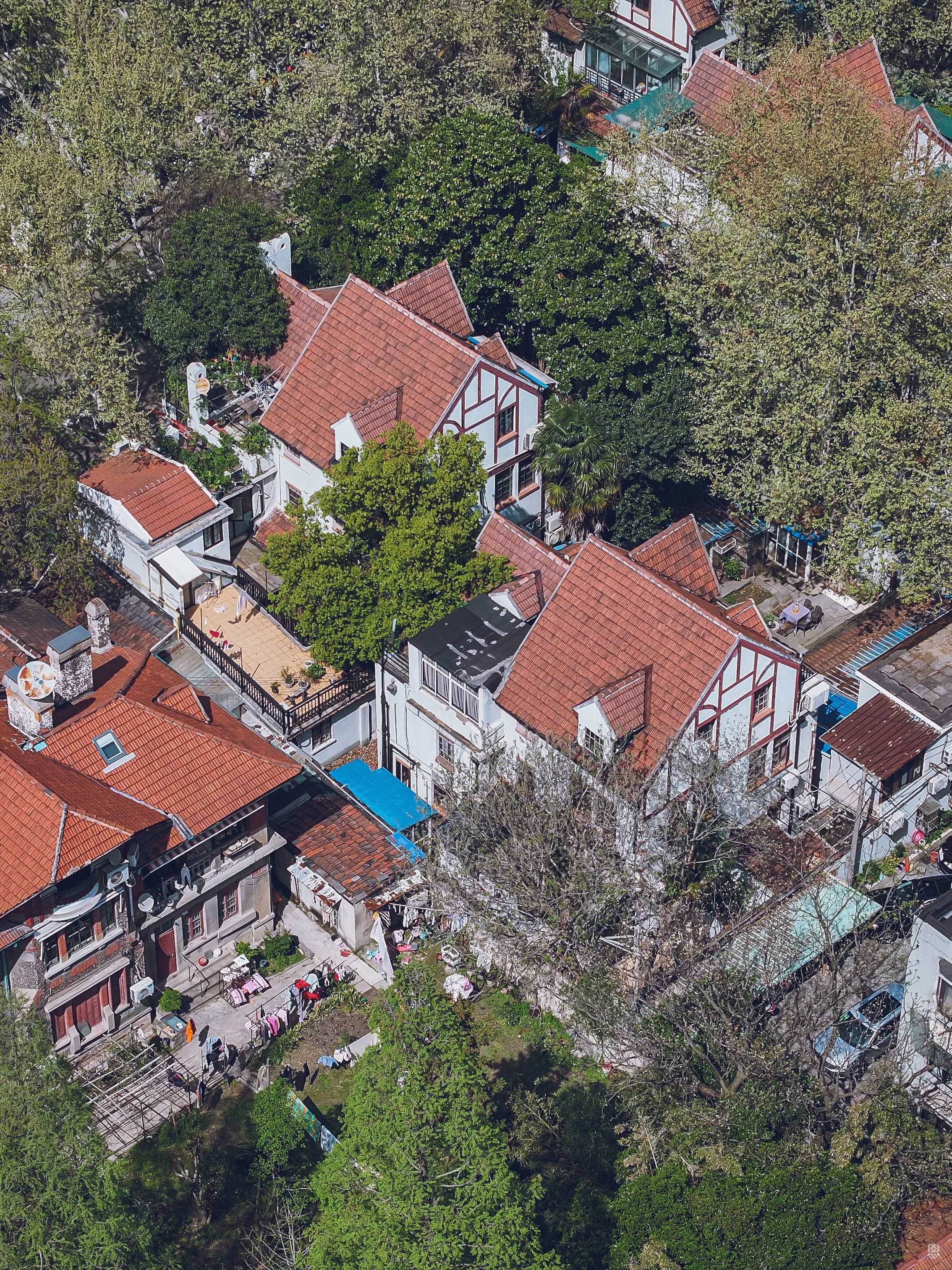 永嘉路527弄花园住宅群 图片4