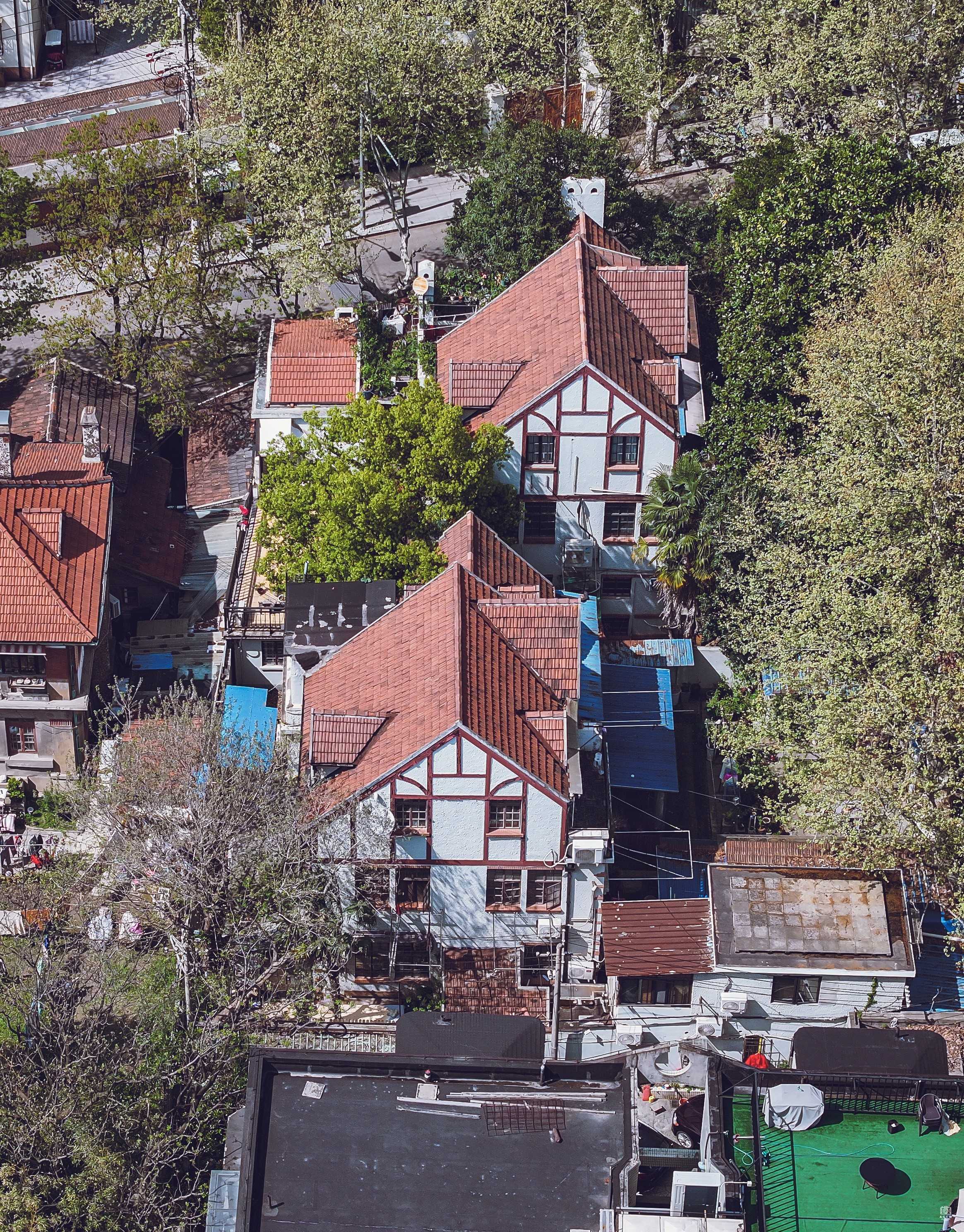 永嘉路527弄花园住宅群 图片5