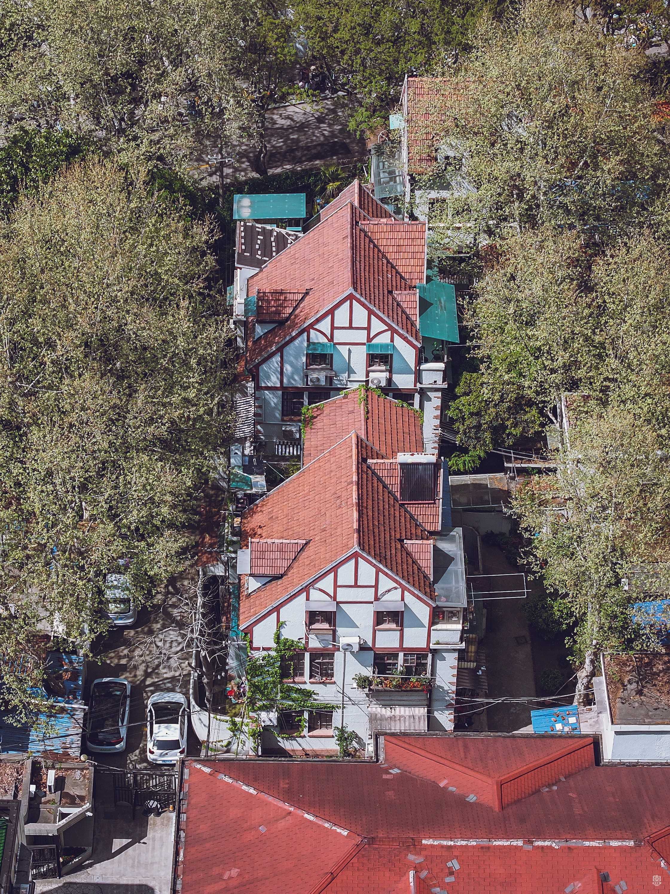 永嘉路527弄花园住宅群 图片6