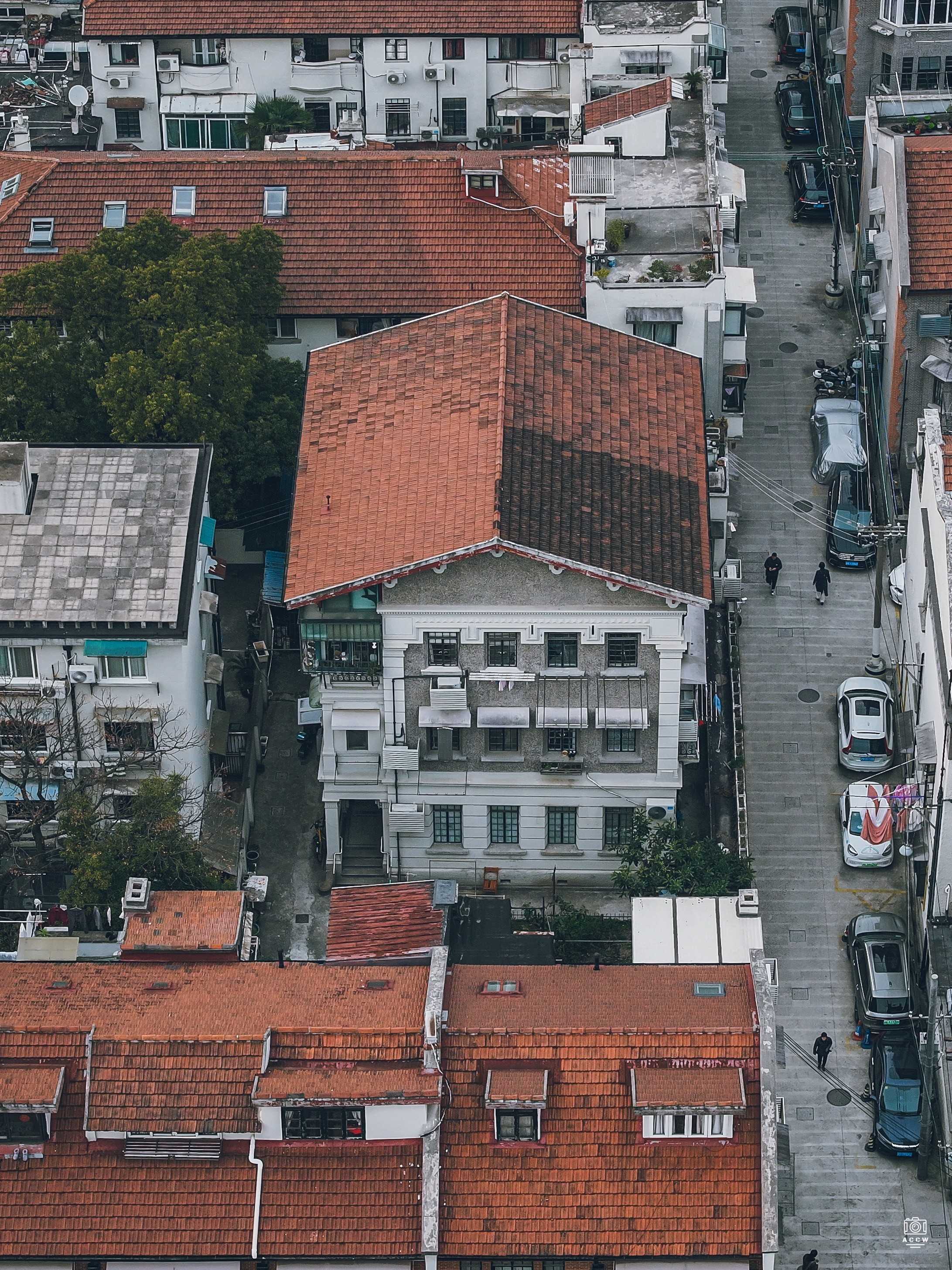 岐山村/东苑别业 图片4