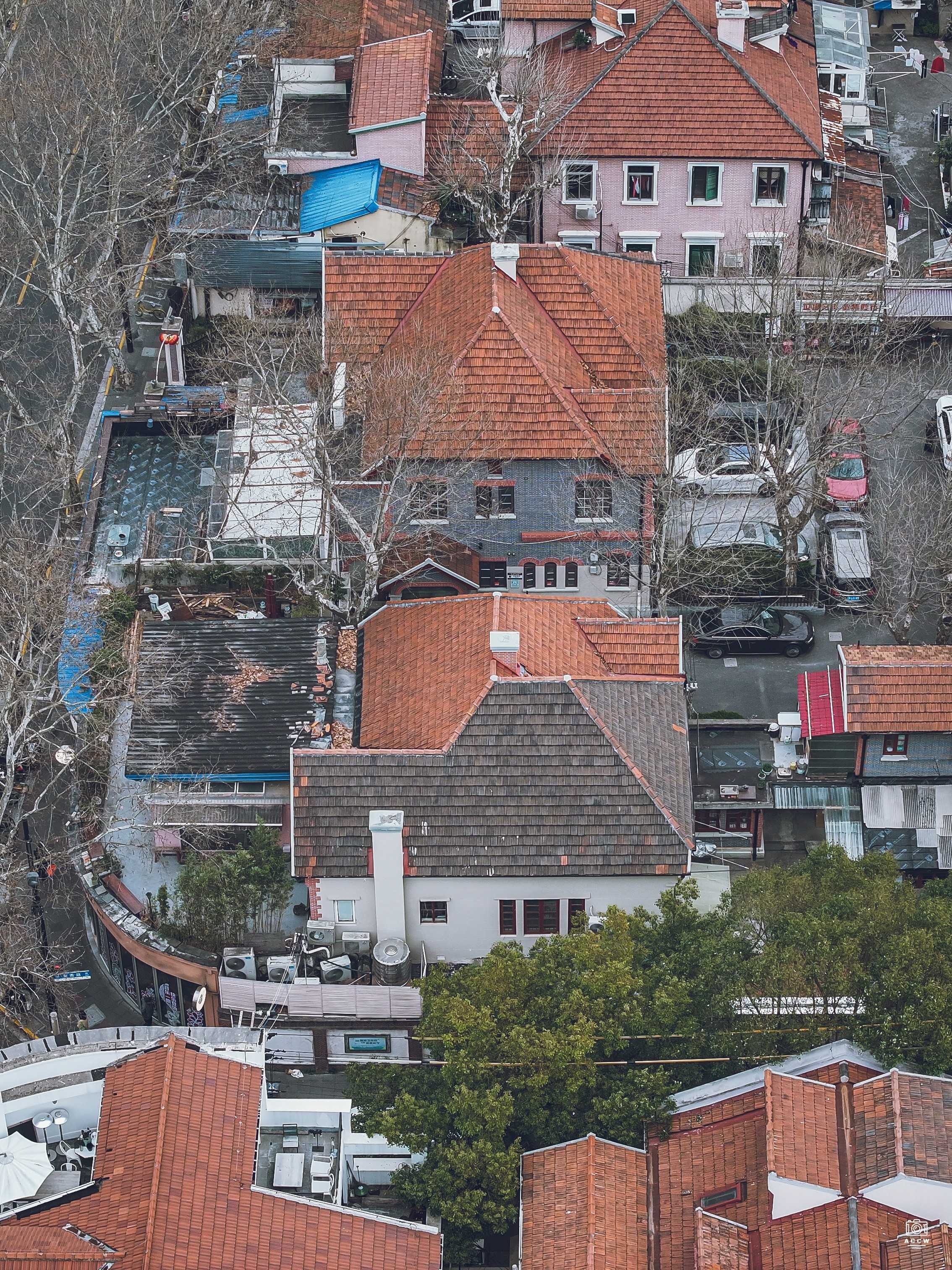 丰田纱厂干部住宅-2 图片6