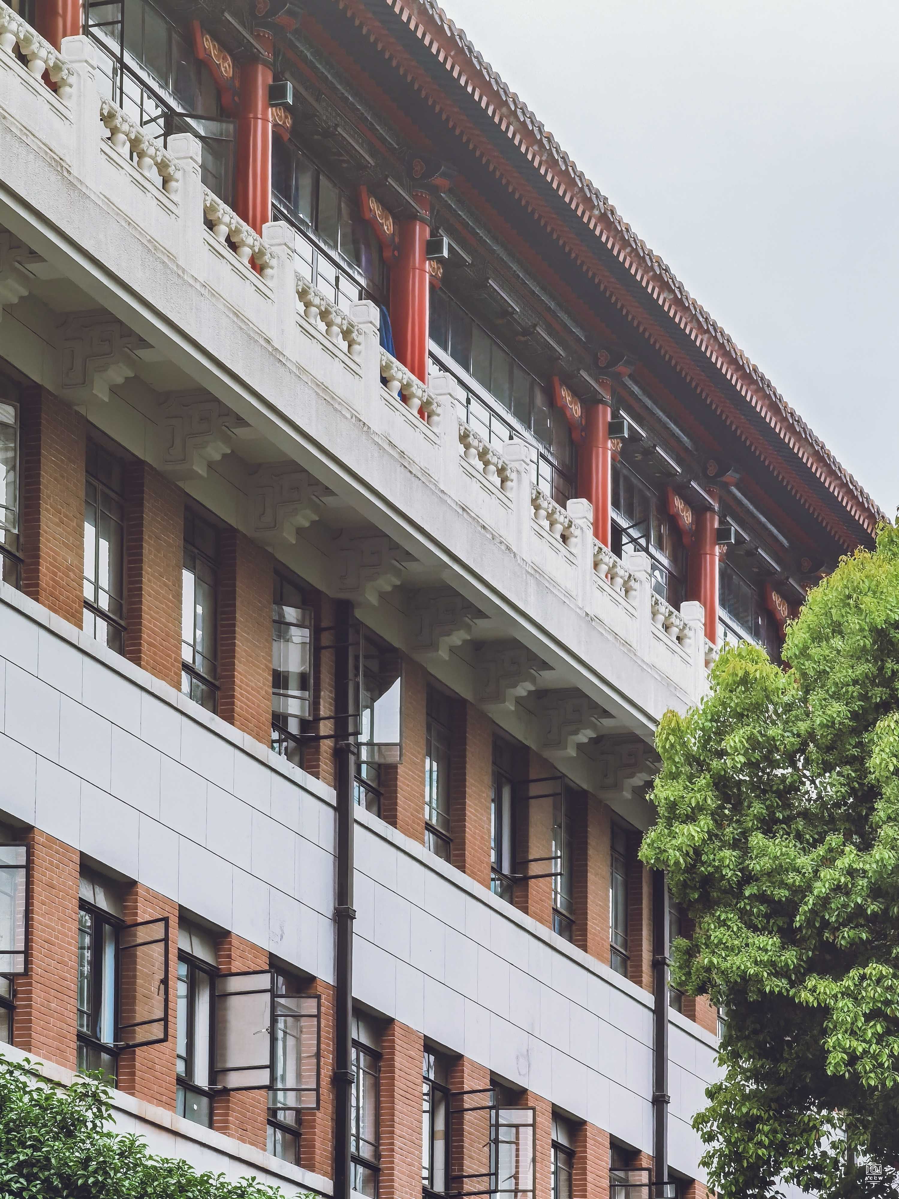 上海中山医院 图片3