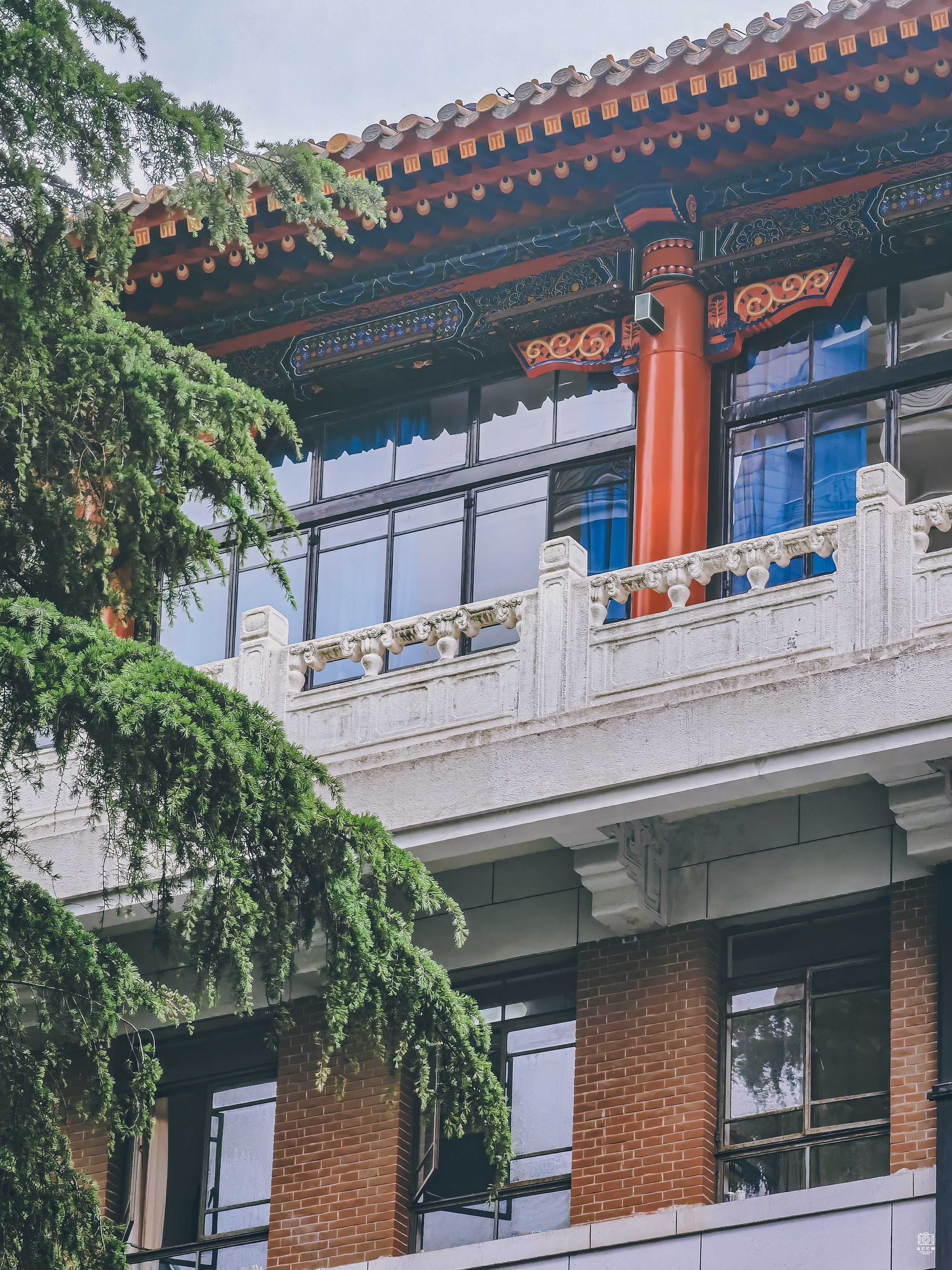 上海中山医院 图片5