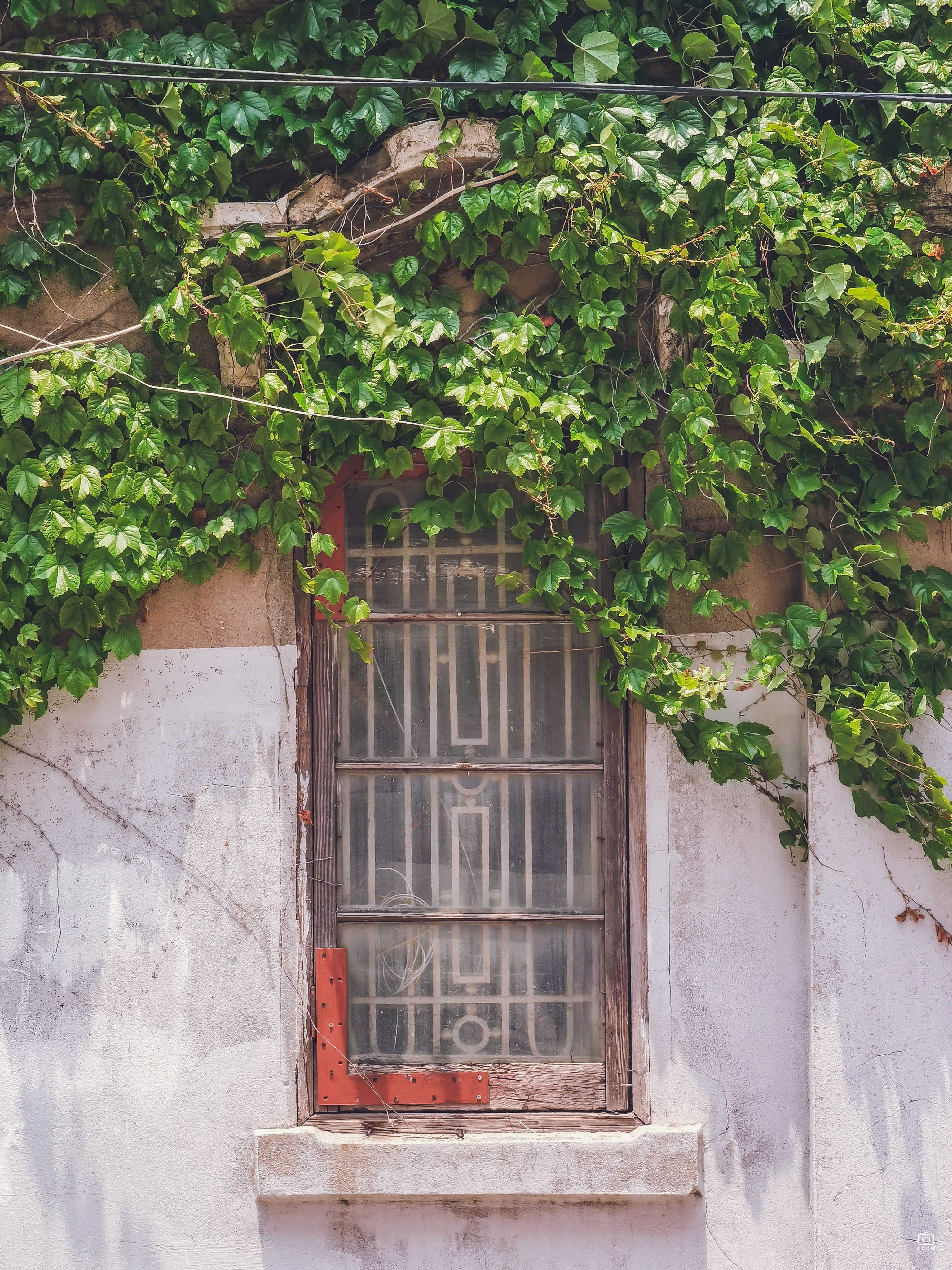周浦西大街住宅 图片6