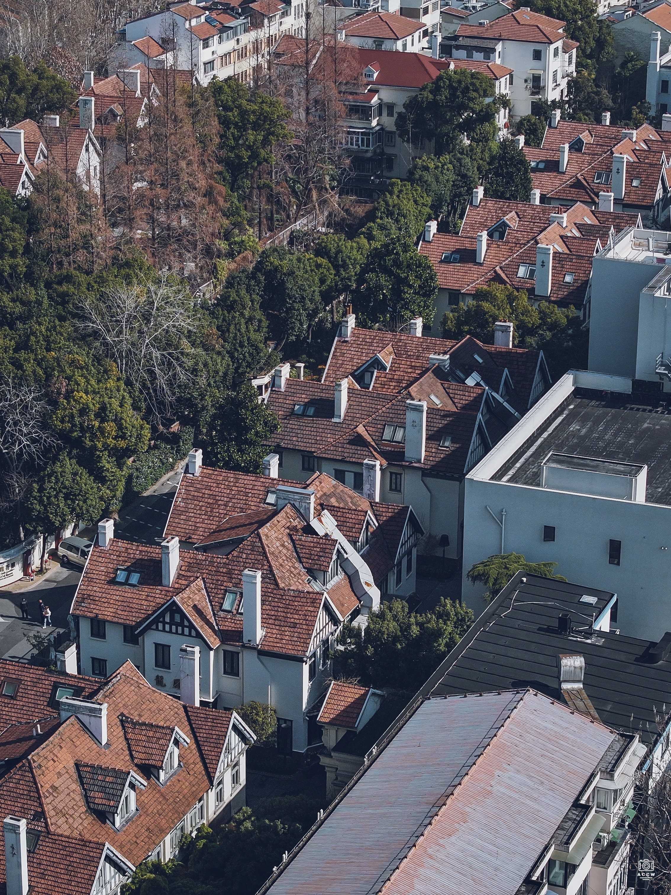 亚细亚火油公司住宅  图片4