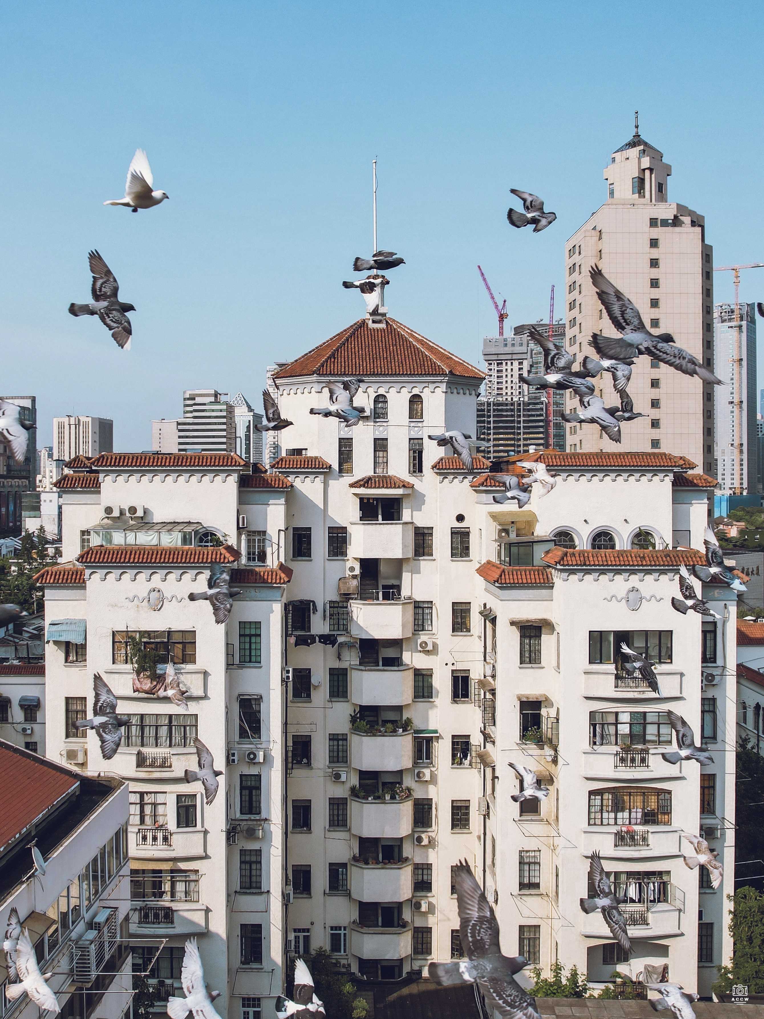 华业公寓 - 历史老房子封面图
