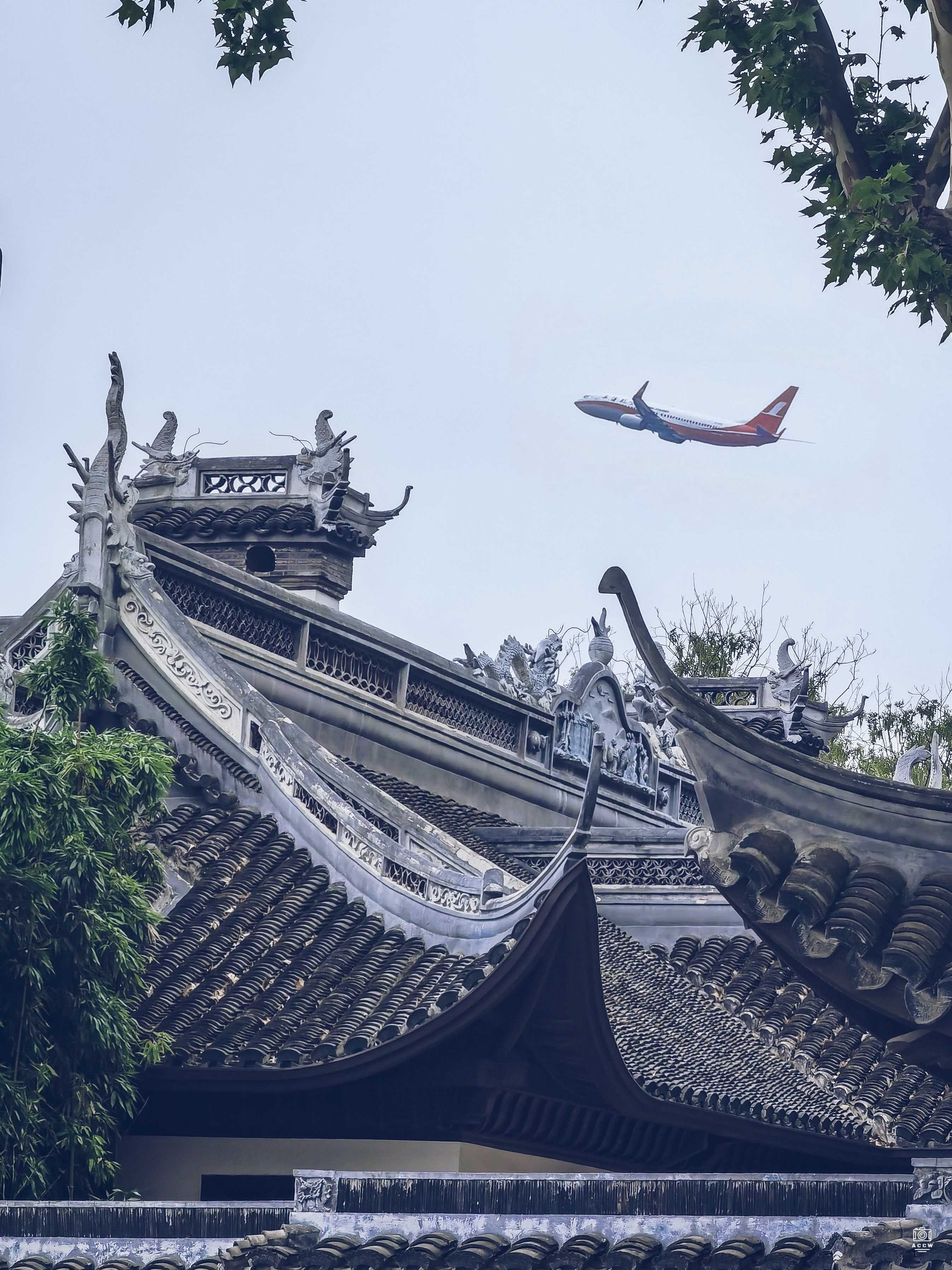 麗虹园、The LIMIT 图片2
