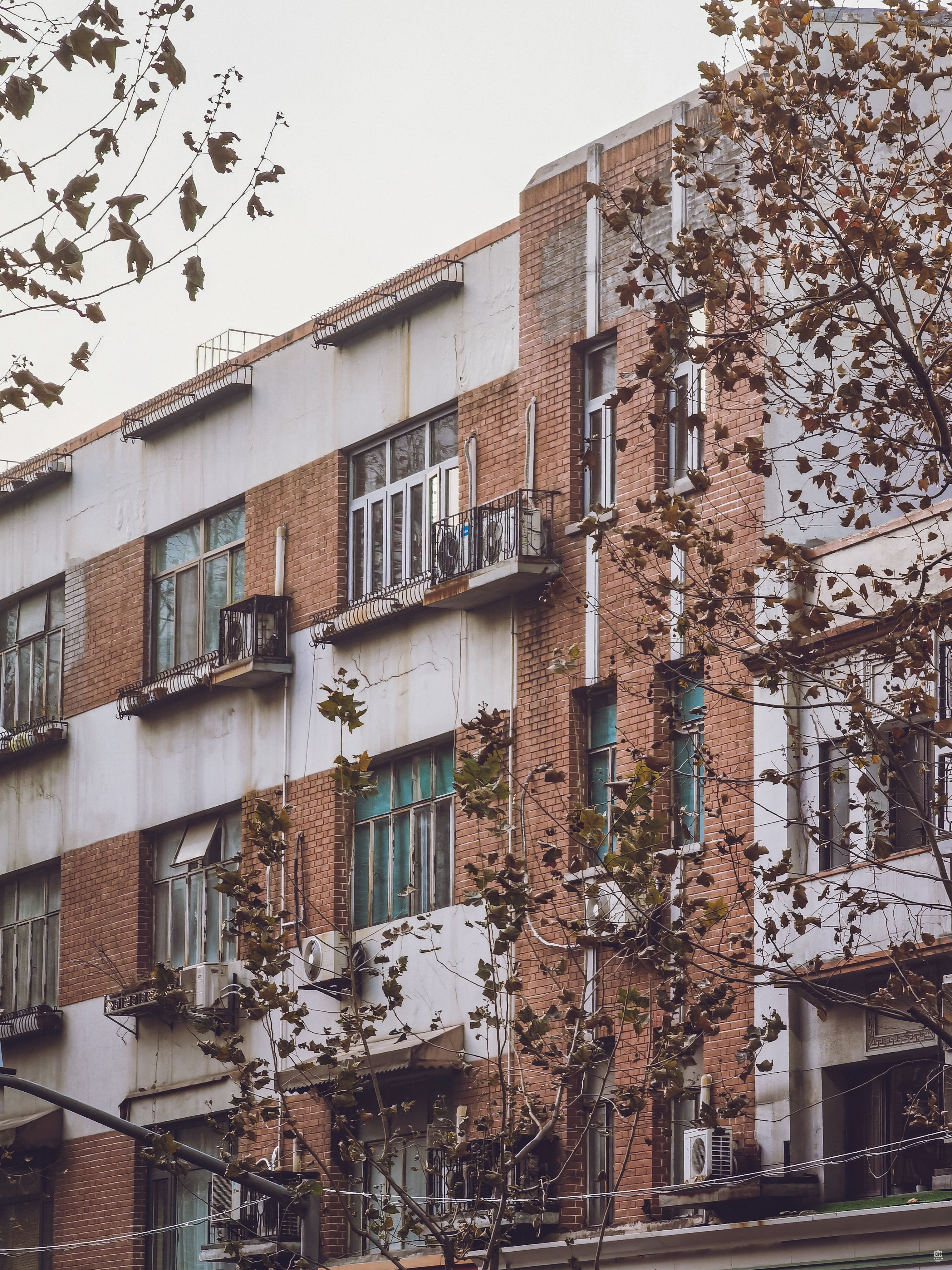 康绥公寓 图片4