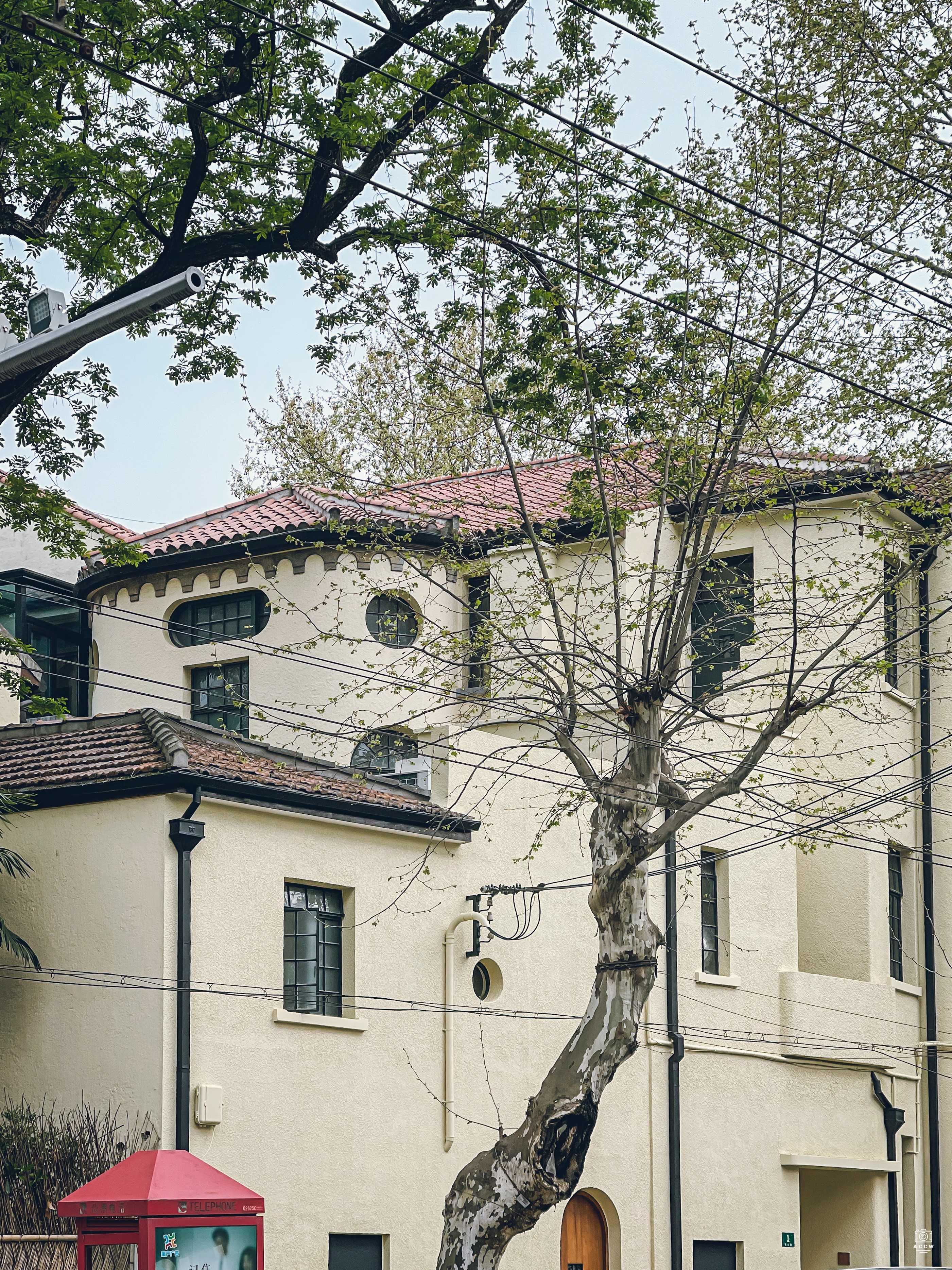 东平路王氏住宅 图片4