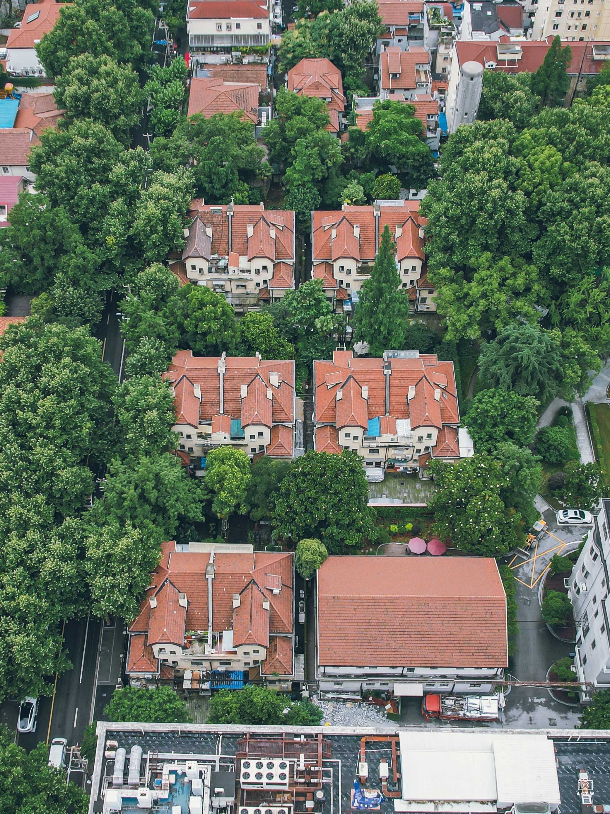 太原路联排花园住宅 图片3