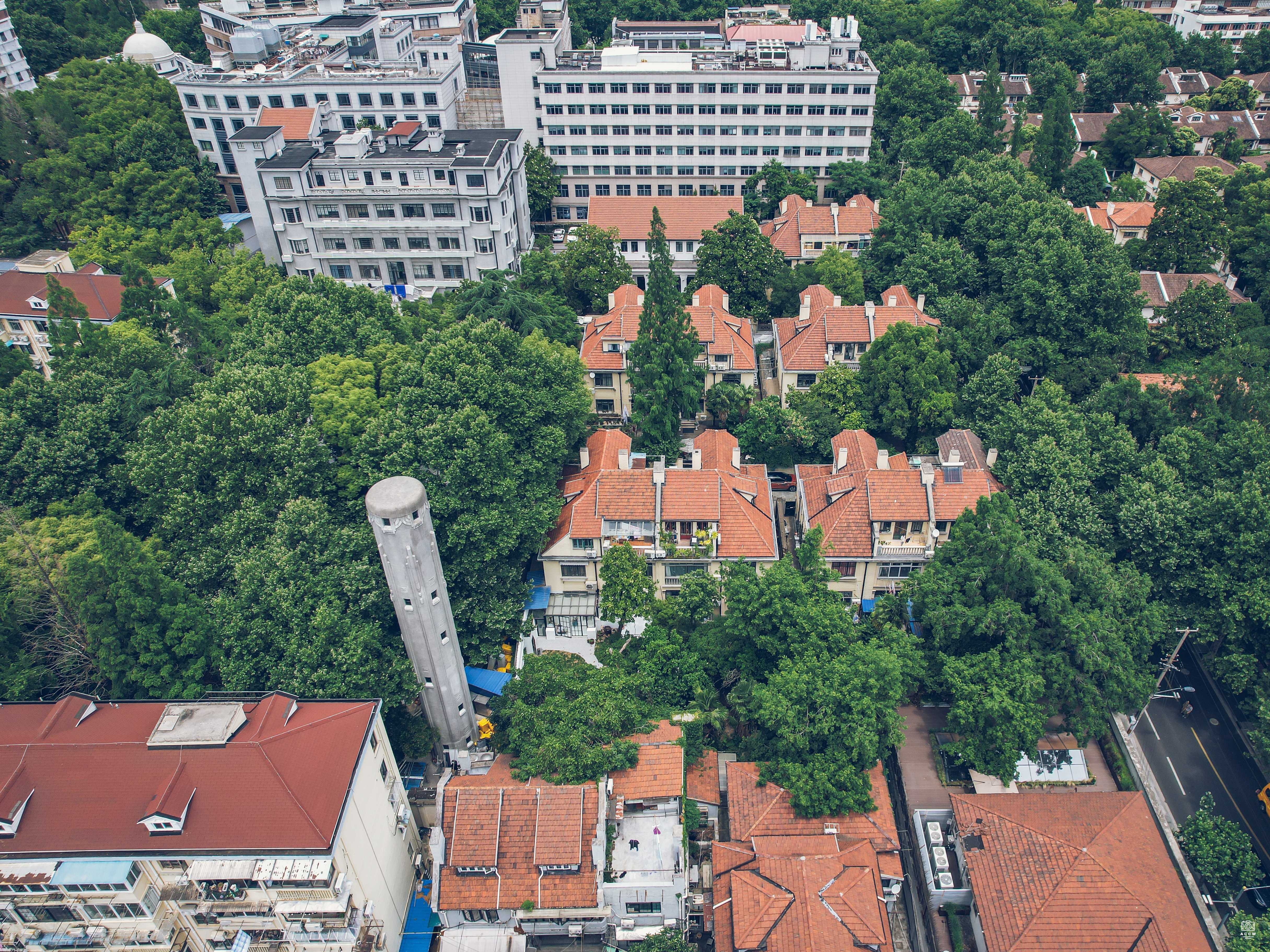 太原路联排花园住宅 图片6