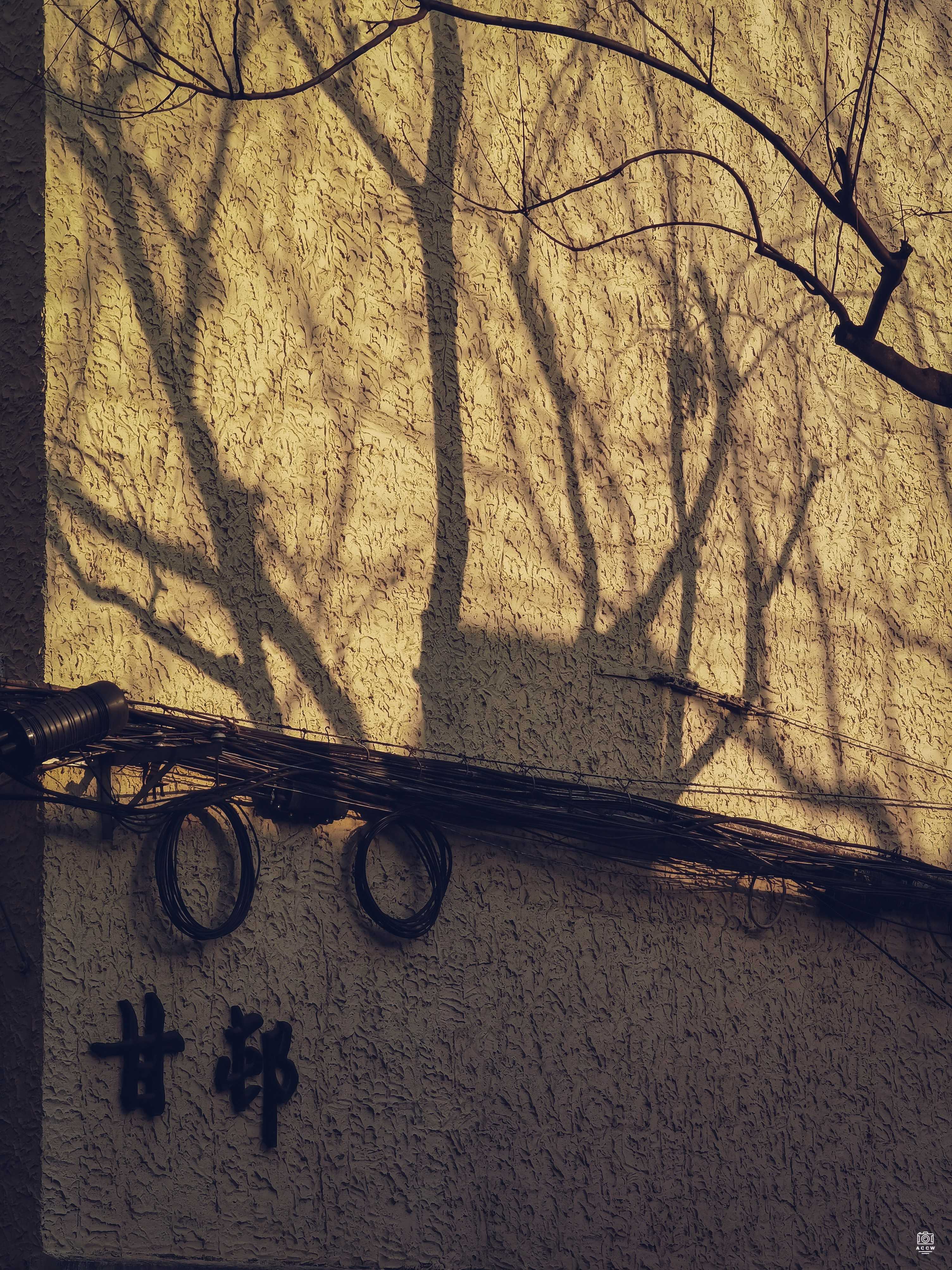 甘邨 图片2