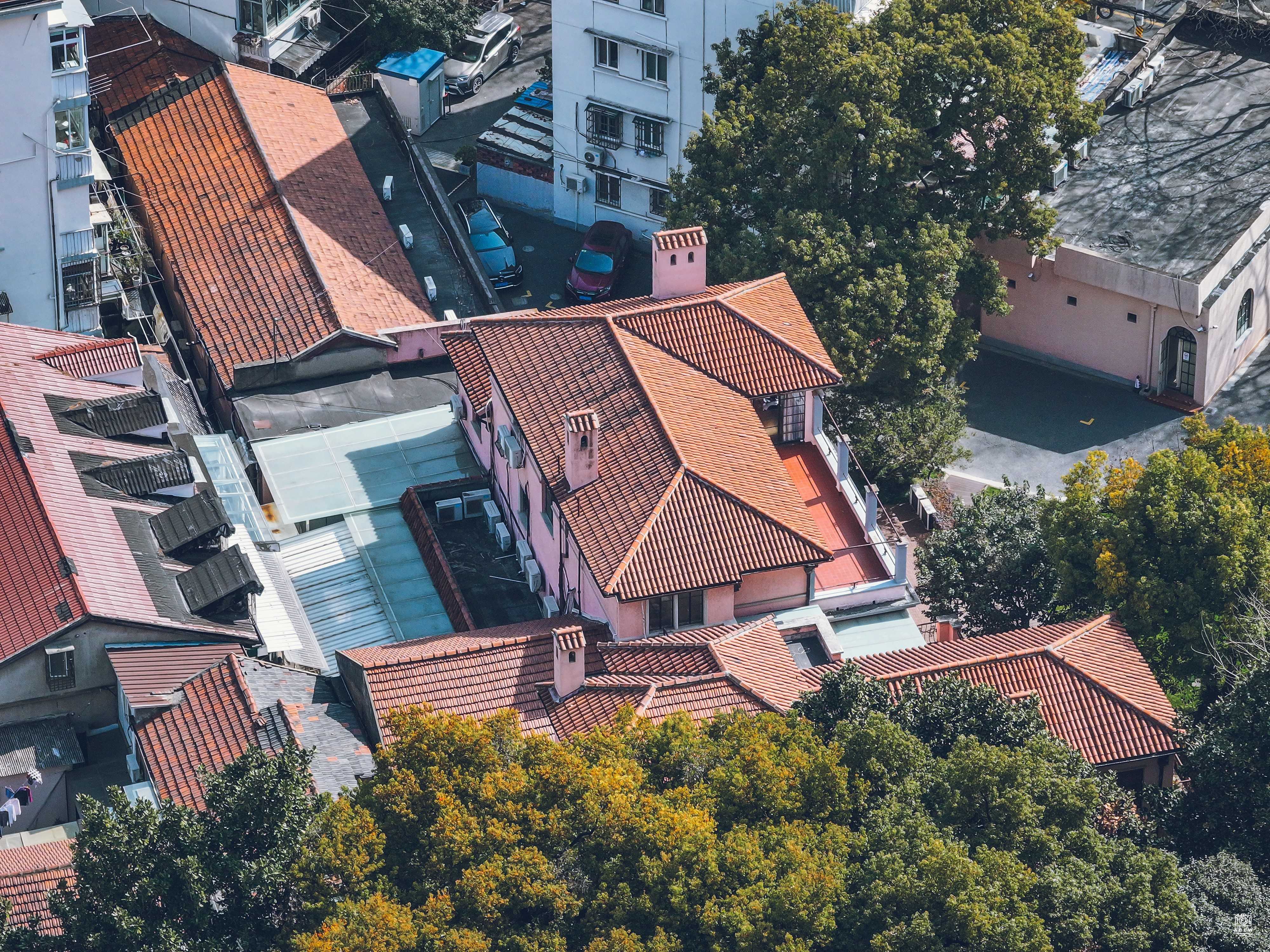 张叔驯宅 图片5