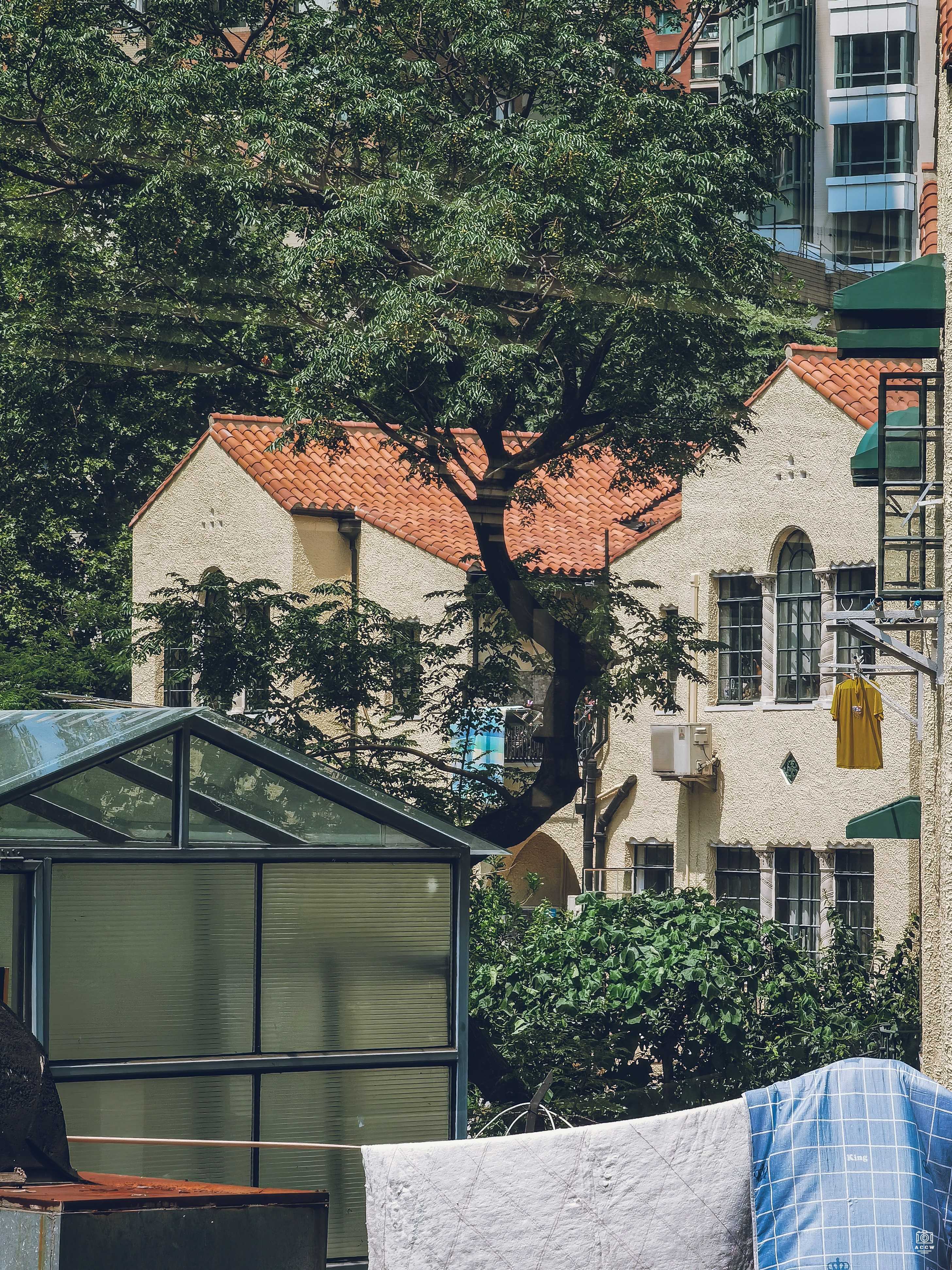 海格公寓 图片3