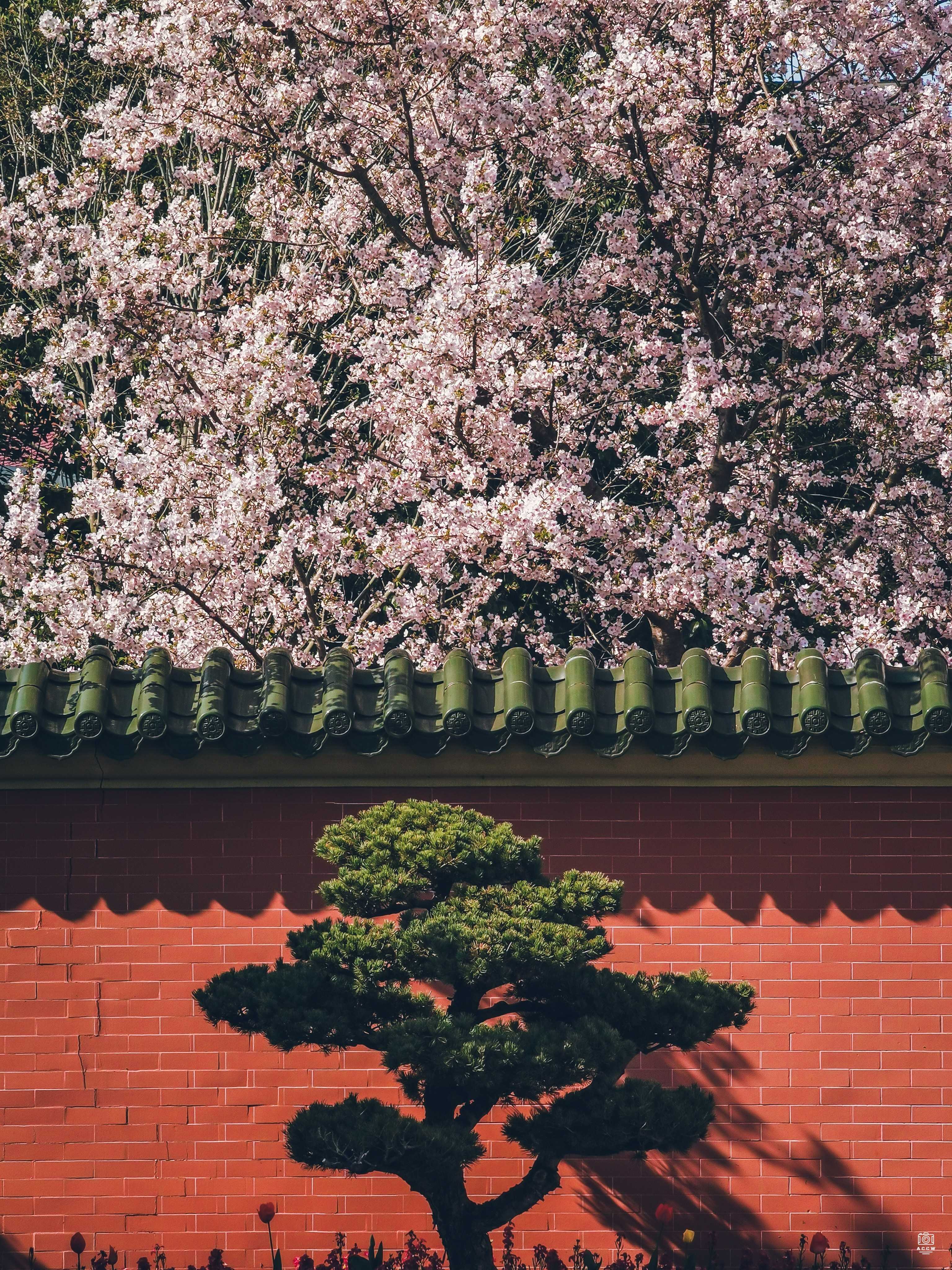 交通大学-校门 图片5