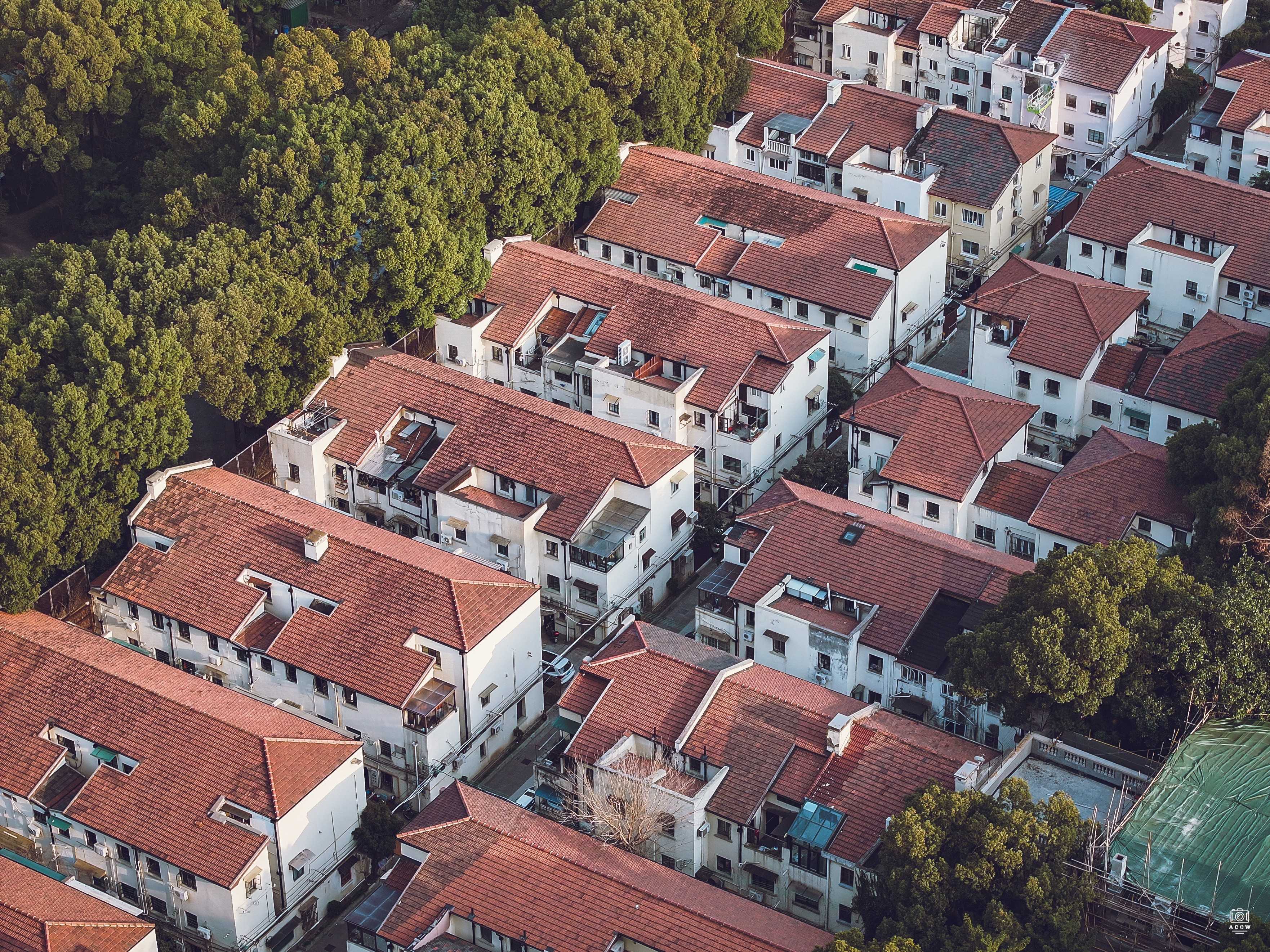 上海新邨 图片4