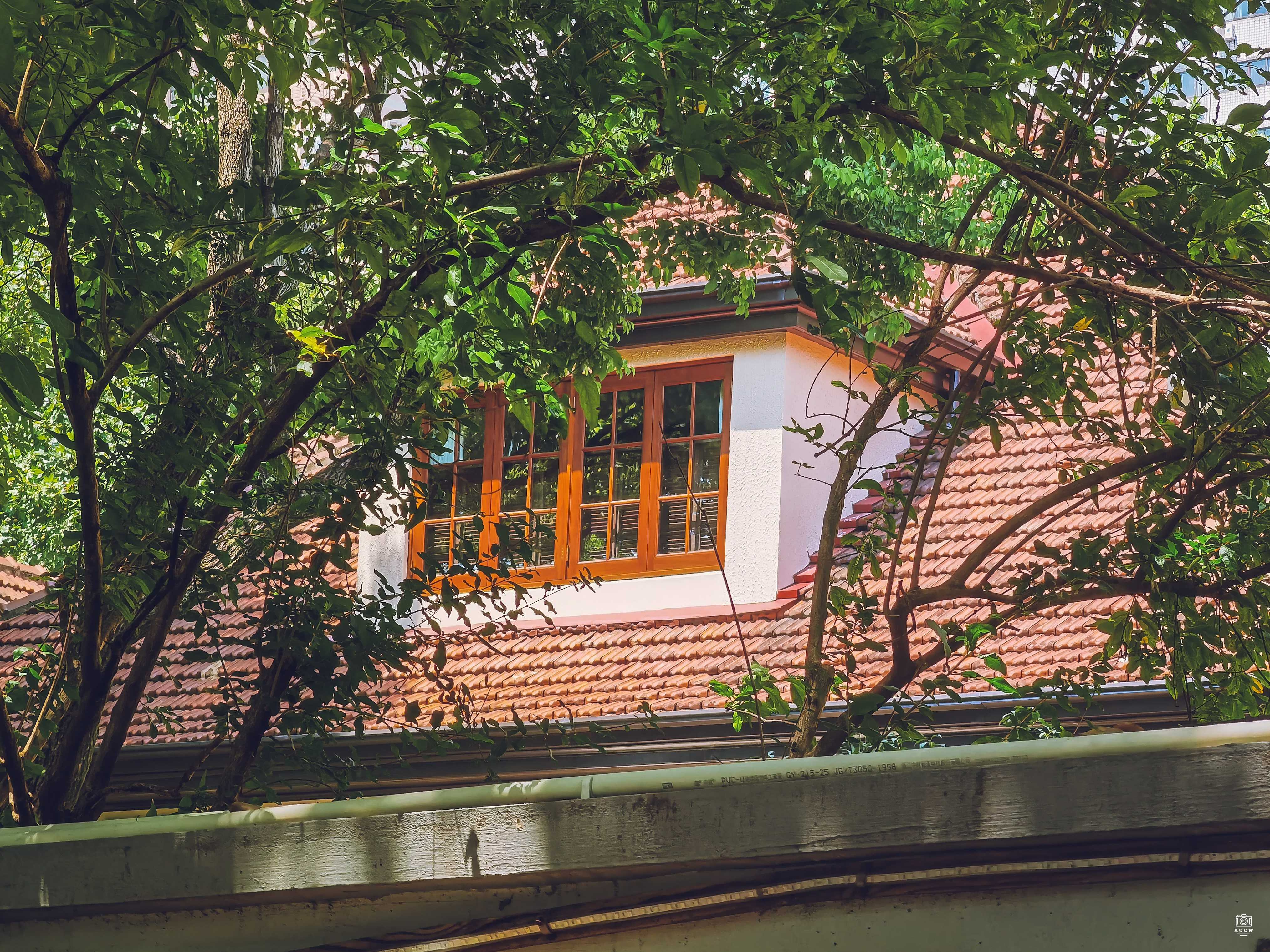 莫殇清住宅 图片2