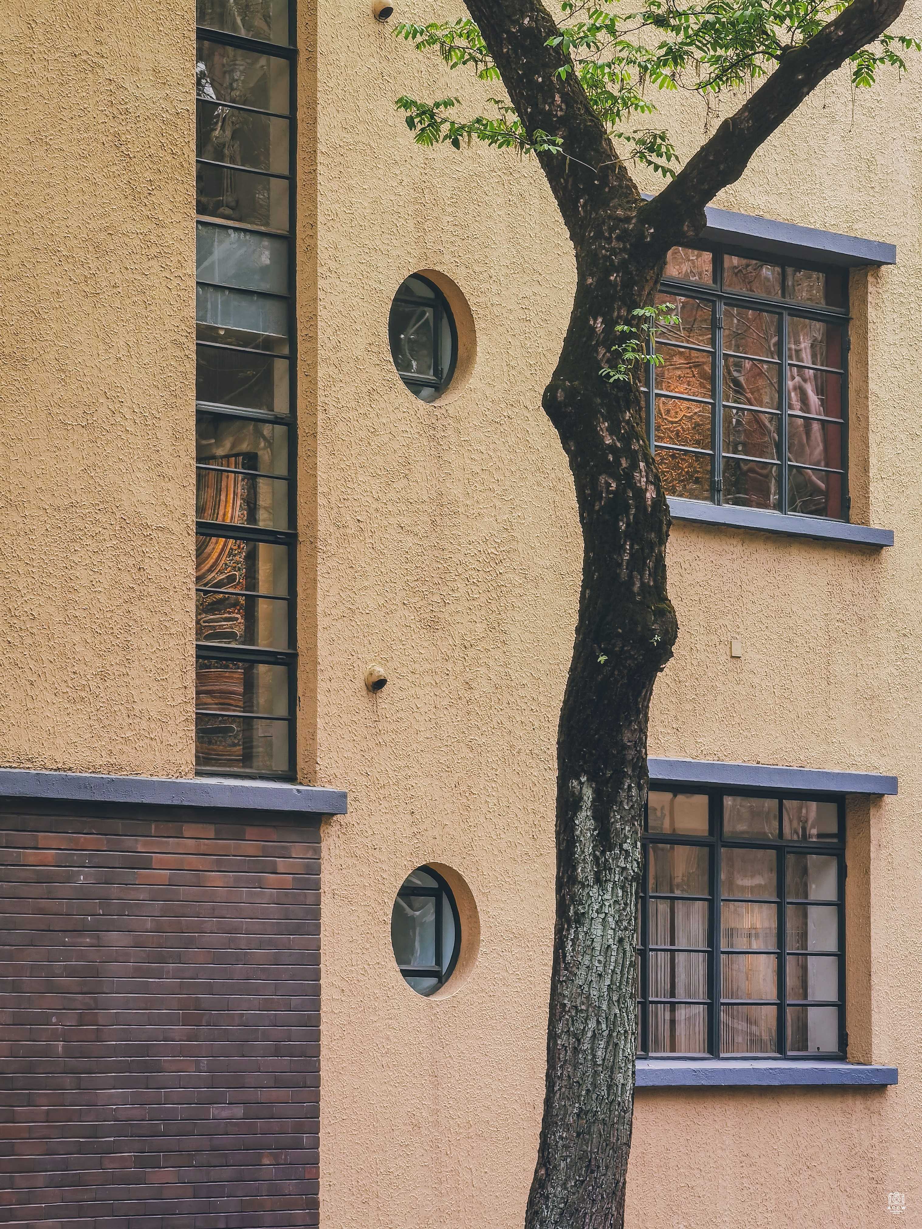 蔡声白住宅 图片5