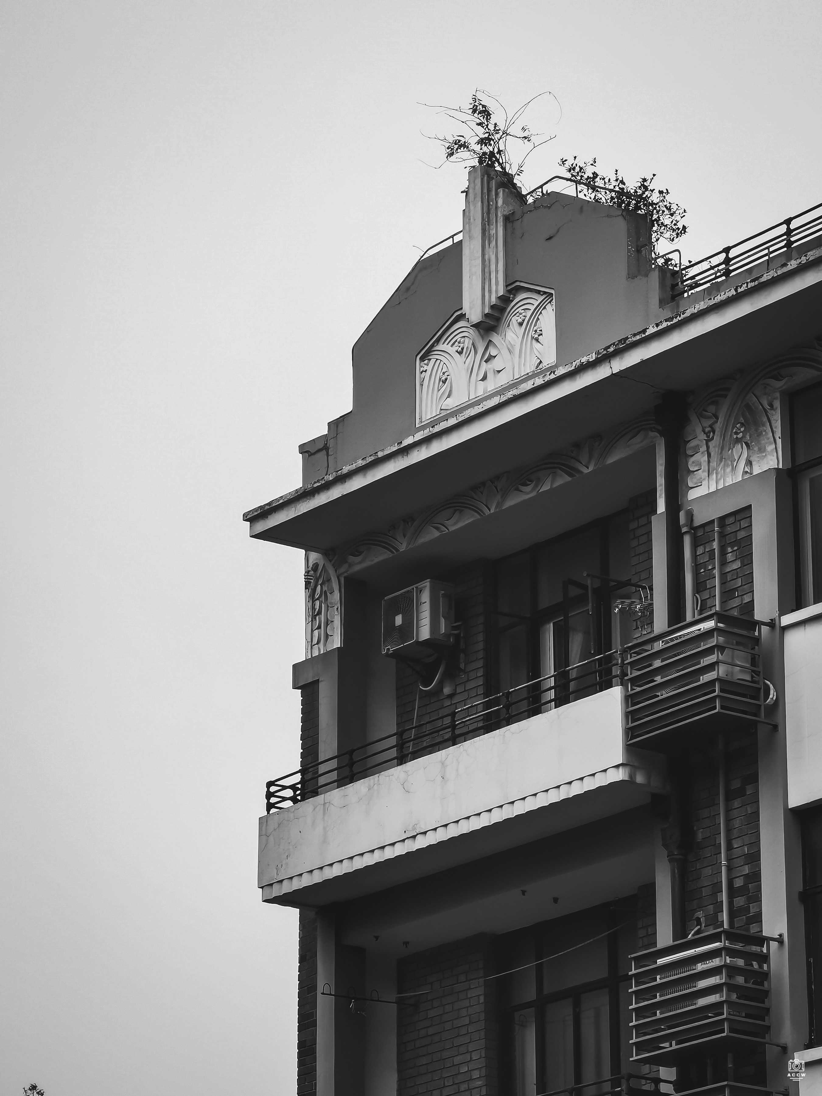 林肯公寓 图片2