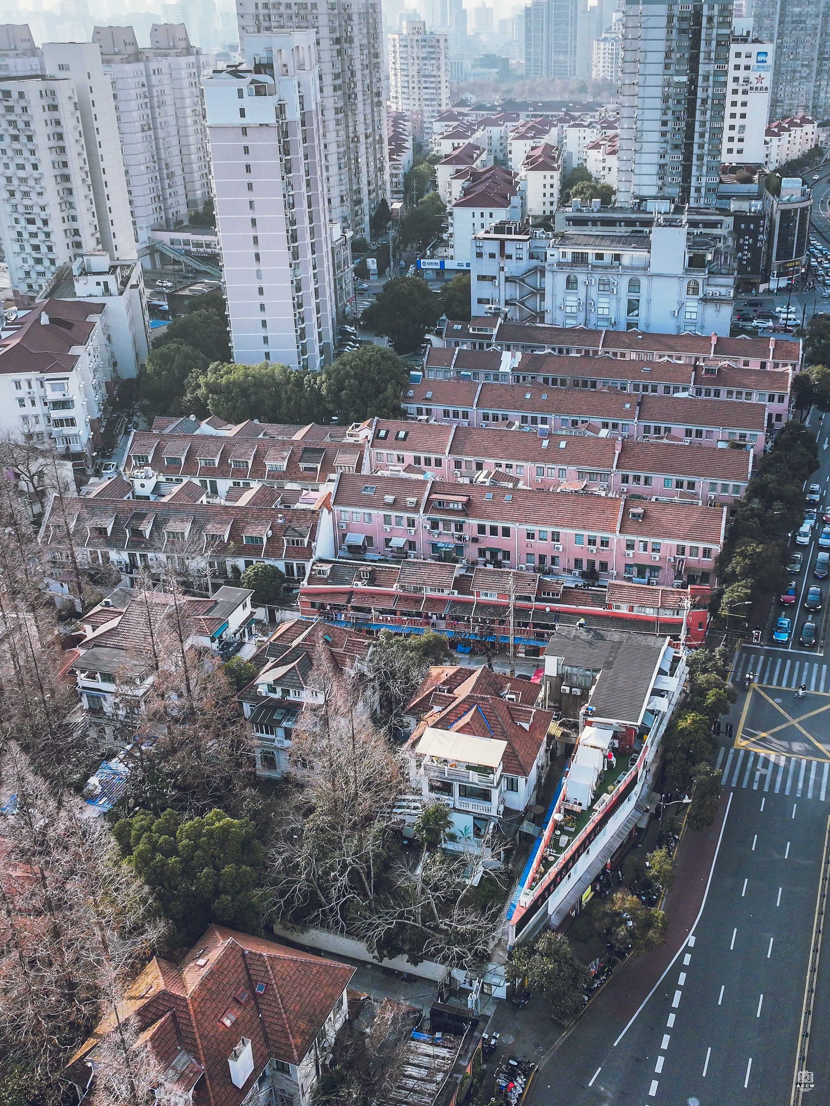 中一村/中央一村 图片3