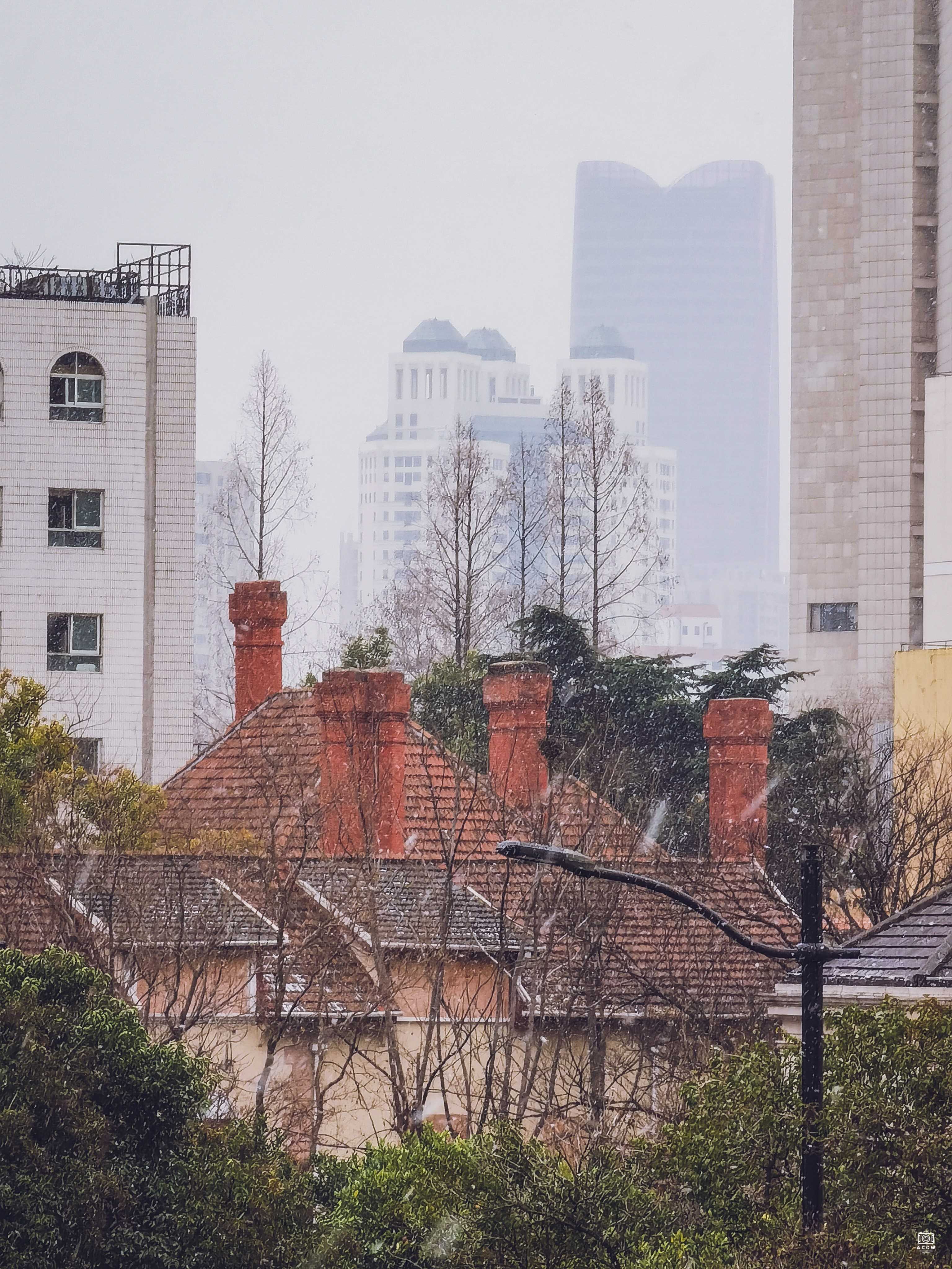 麦加利银行高级职员住宅 图片3