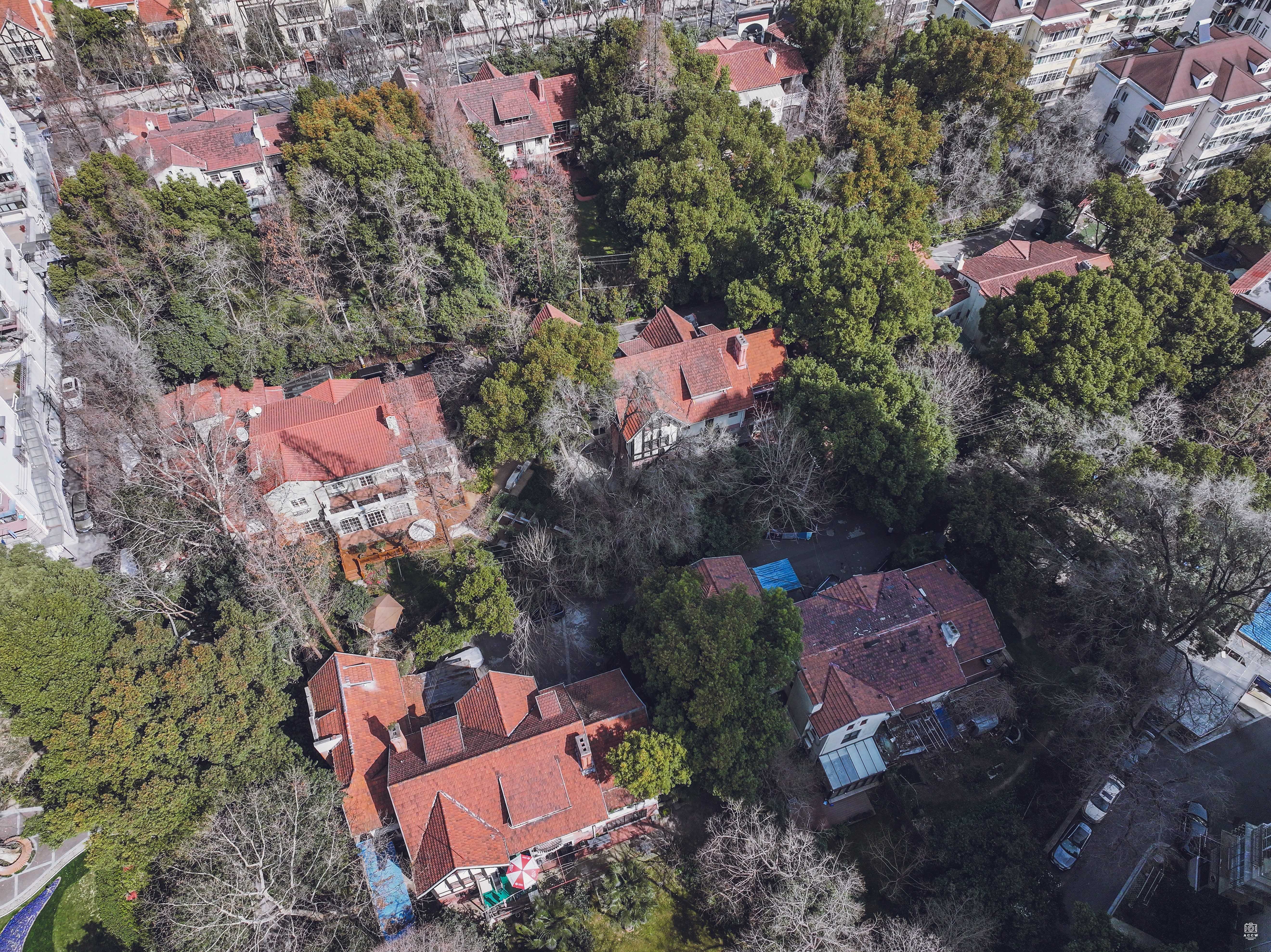 泰安路115弄住宅 图片5