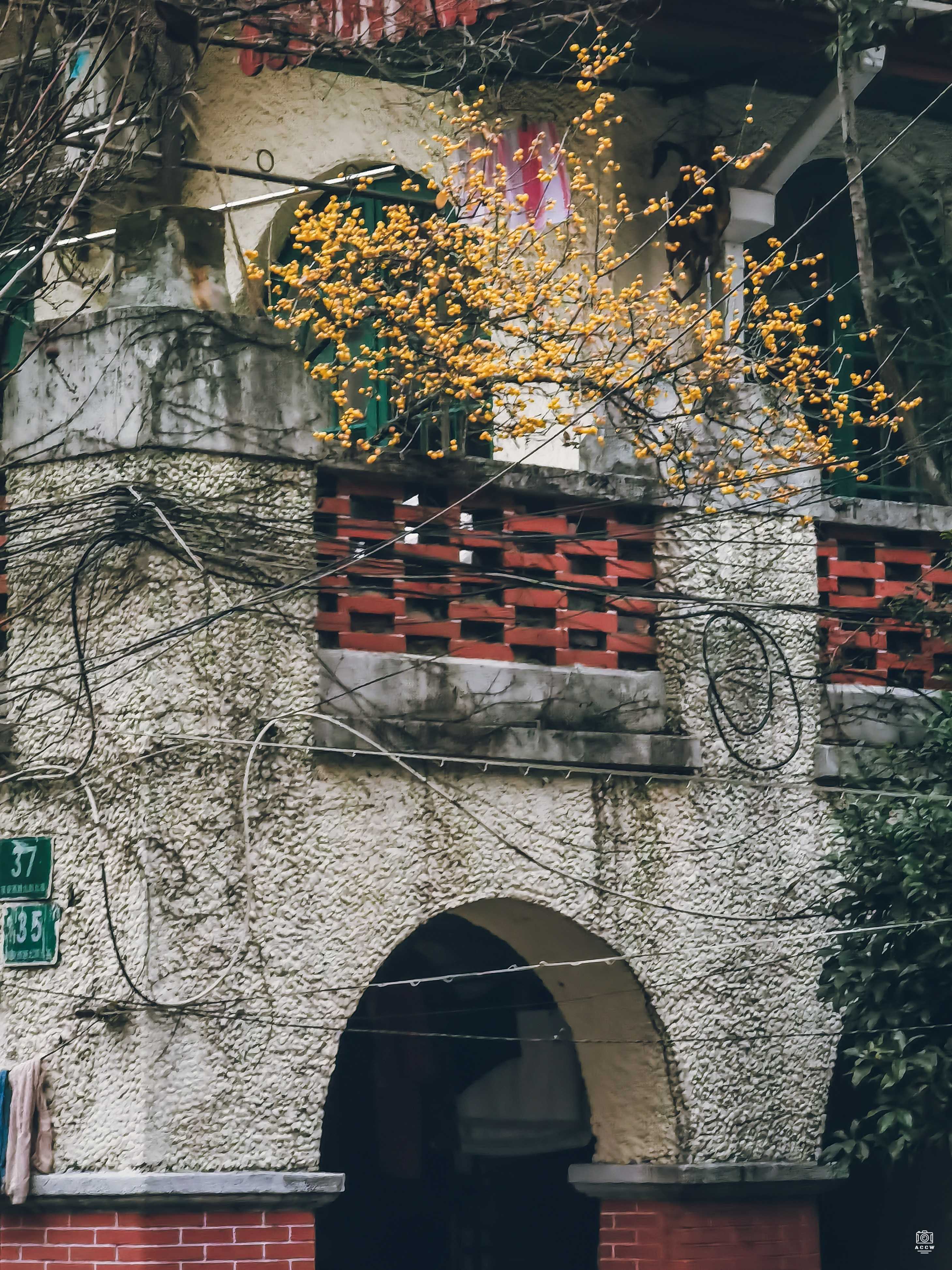 郭氏花园住宅 图片4