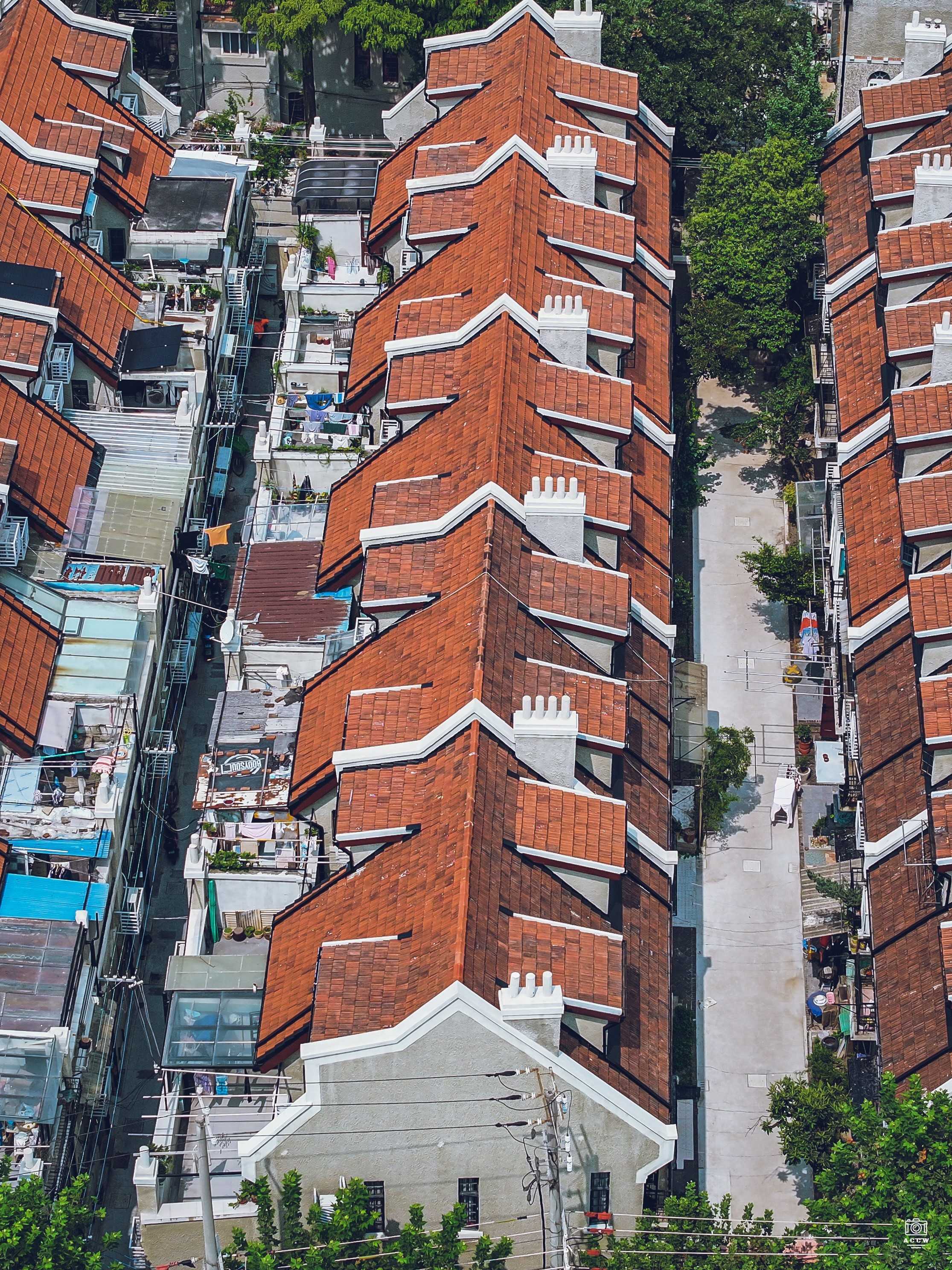 淞云别业、留青小筑 - 历史老房子封面图