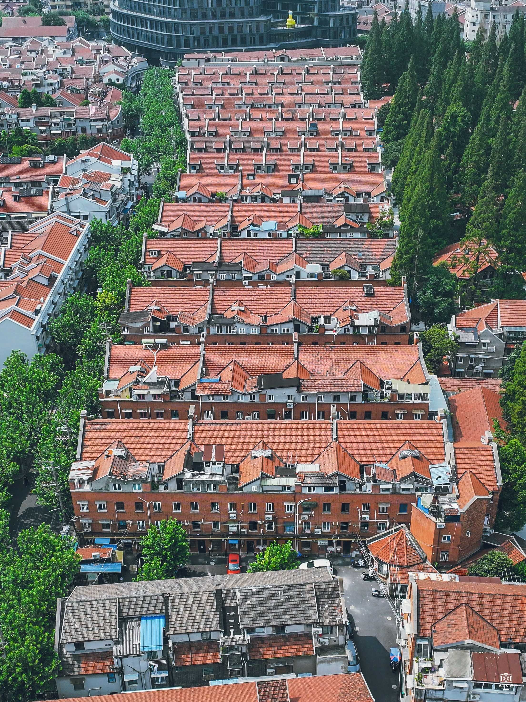 大陆新邨 - 历史老房子封面图
