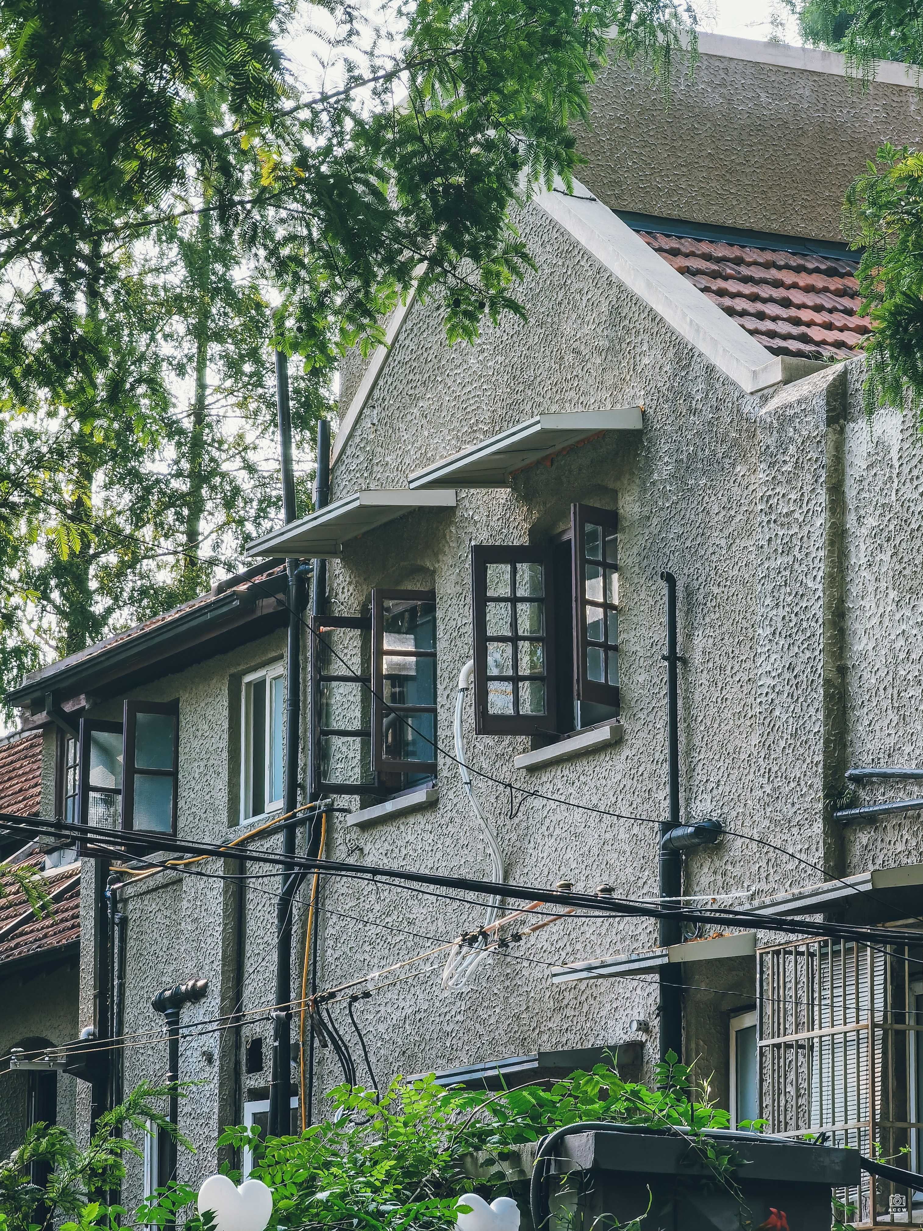 千爱里 图片6
