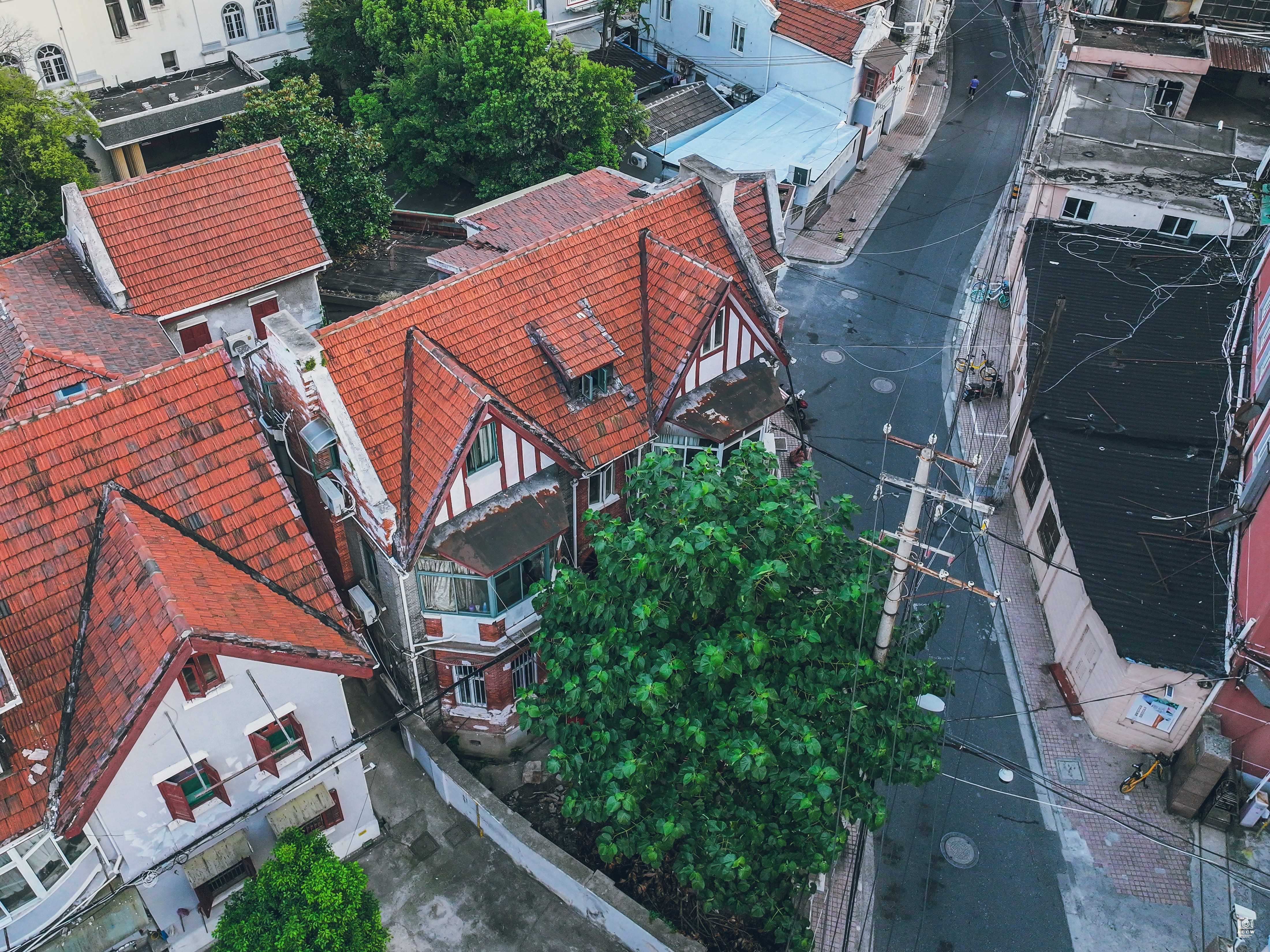 黄渡路79号住宅 图片5