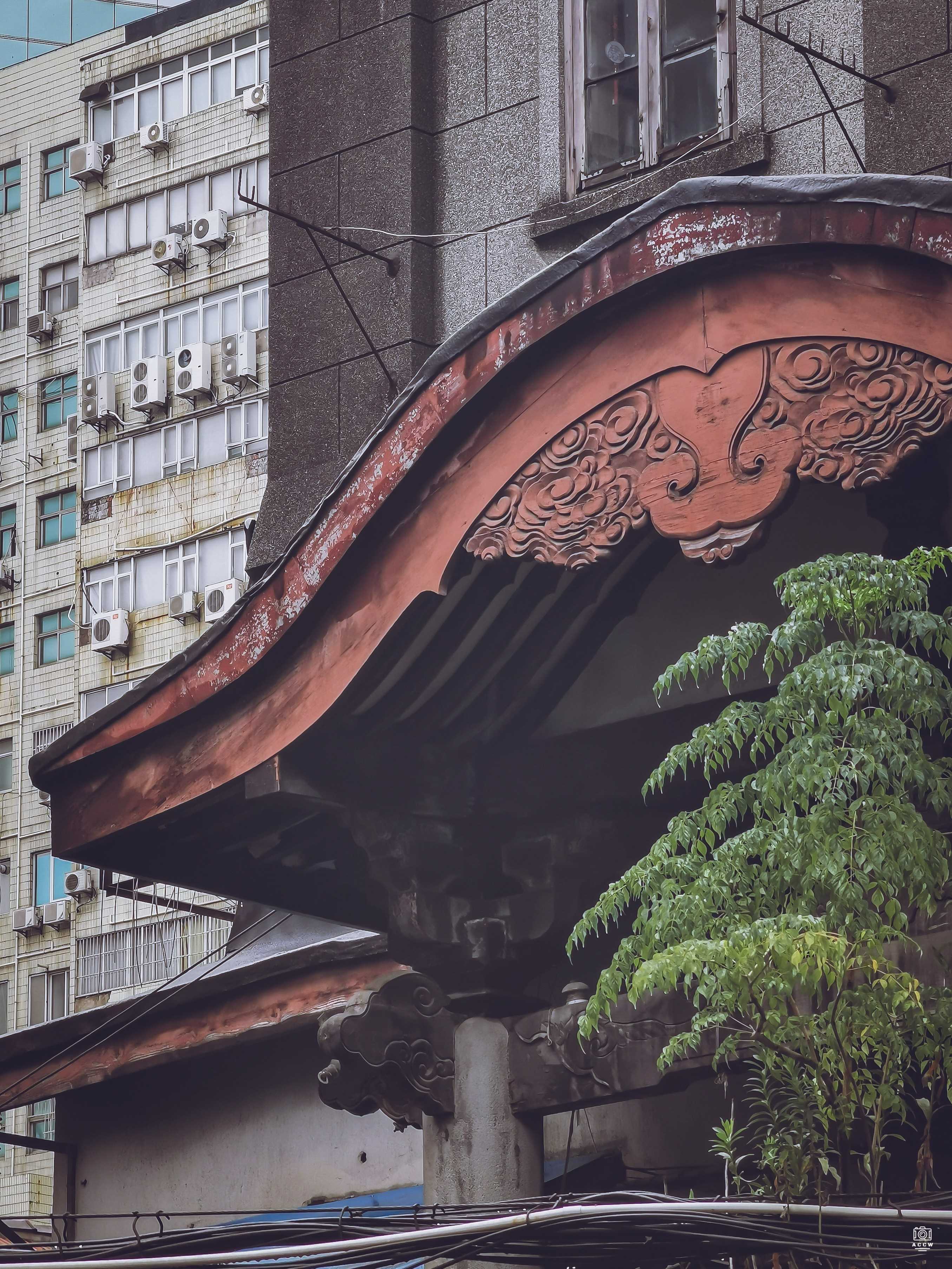 本圀寺 - 历史老房子封面图