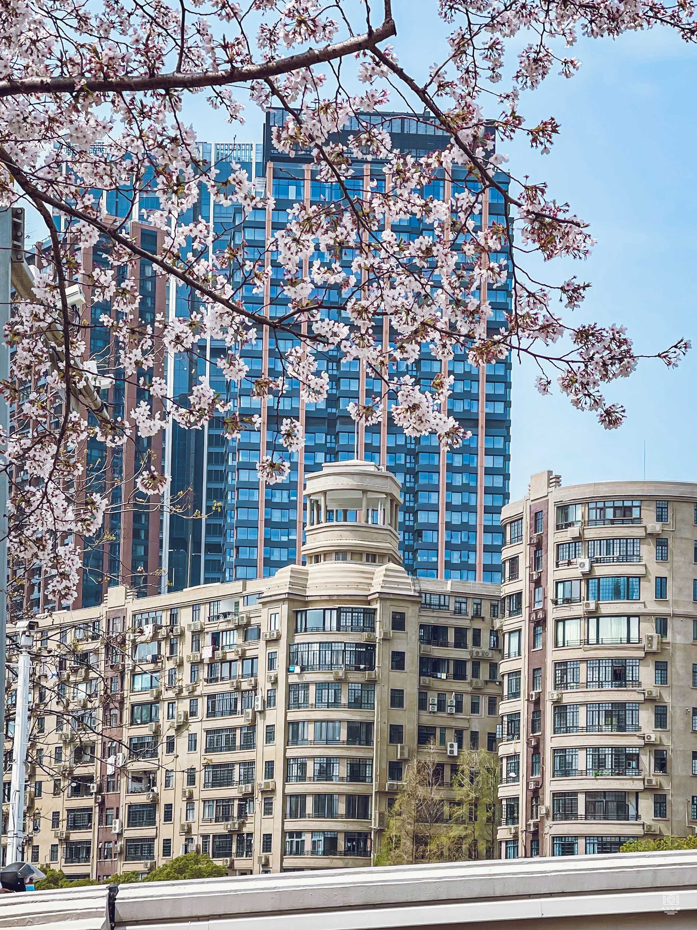 河滨大楼 图片2