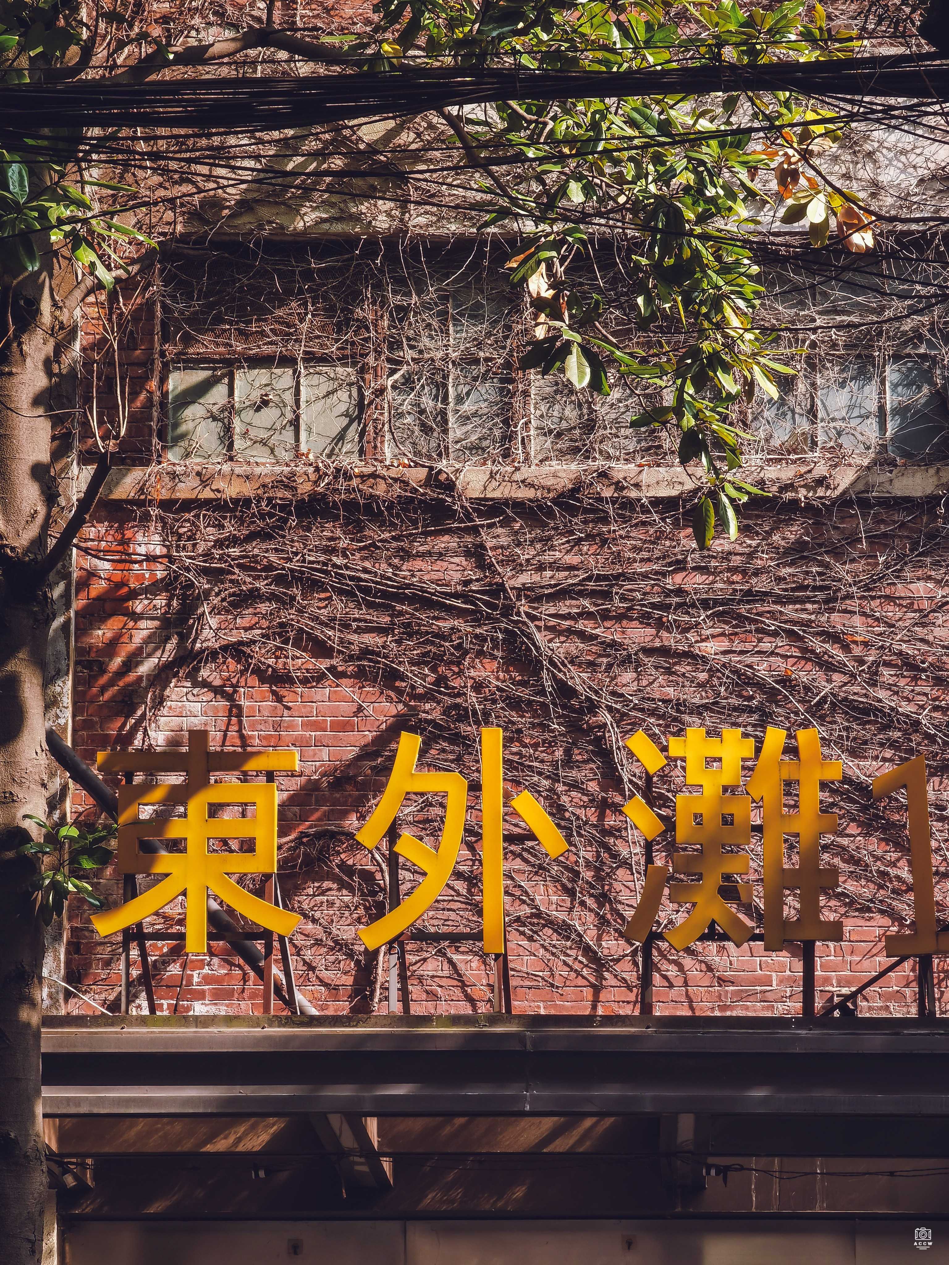 上海密丰绒线厂 图片4