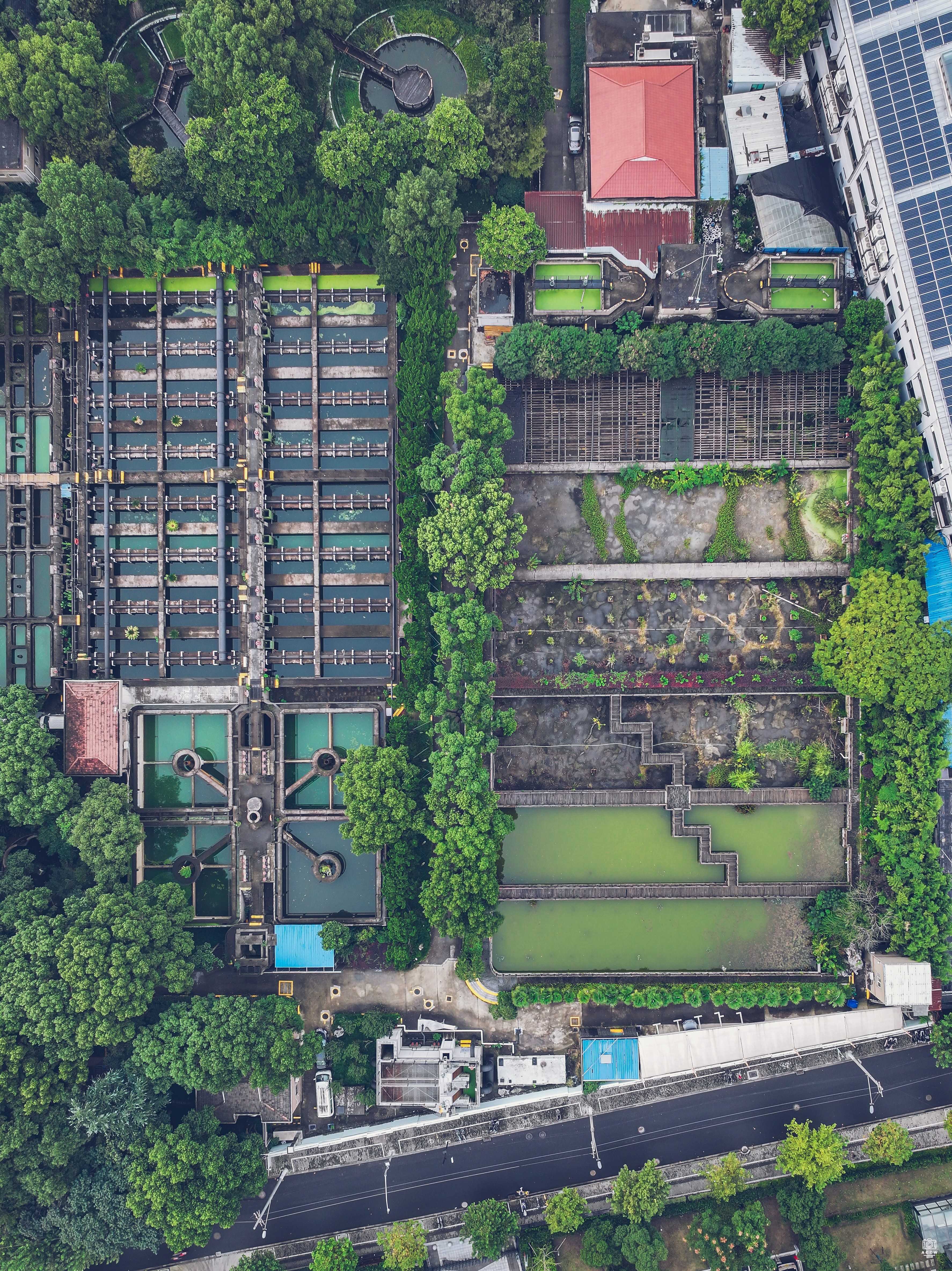 上海市东区污水处理厂 - 历史老房子封面图