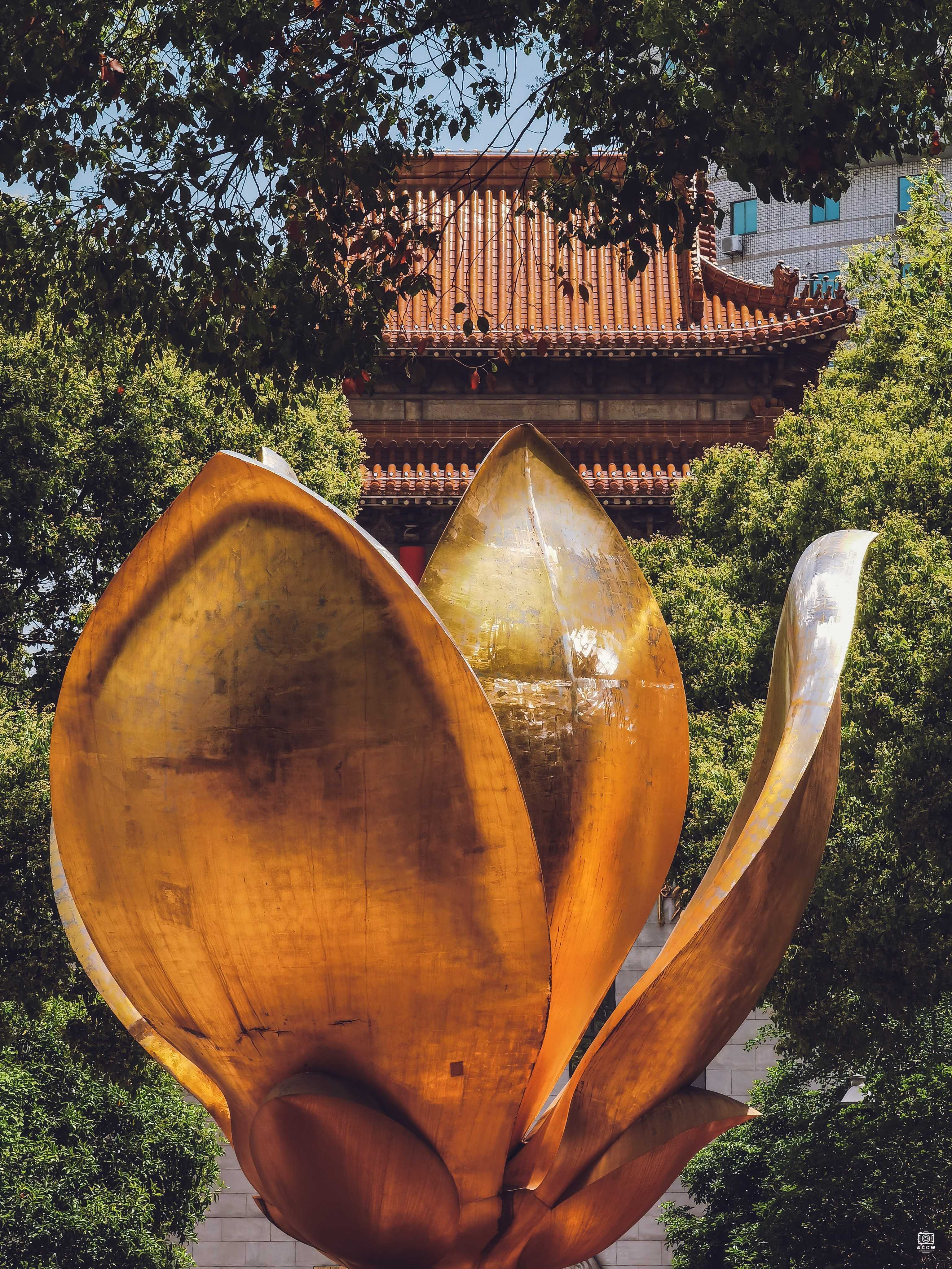 旧上海市博物馆 图片2