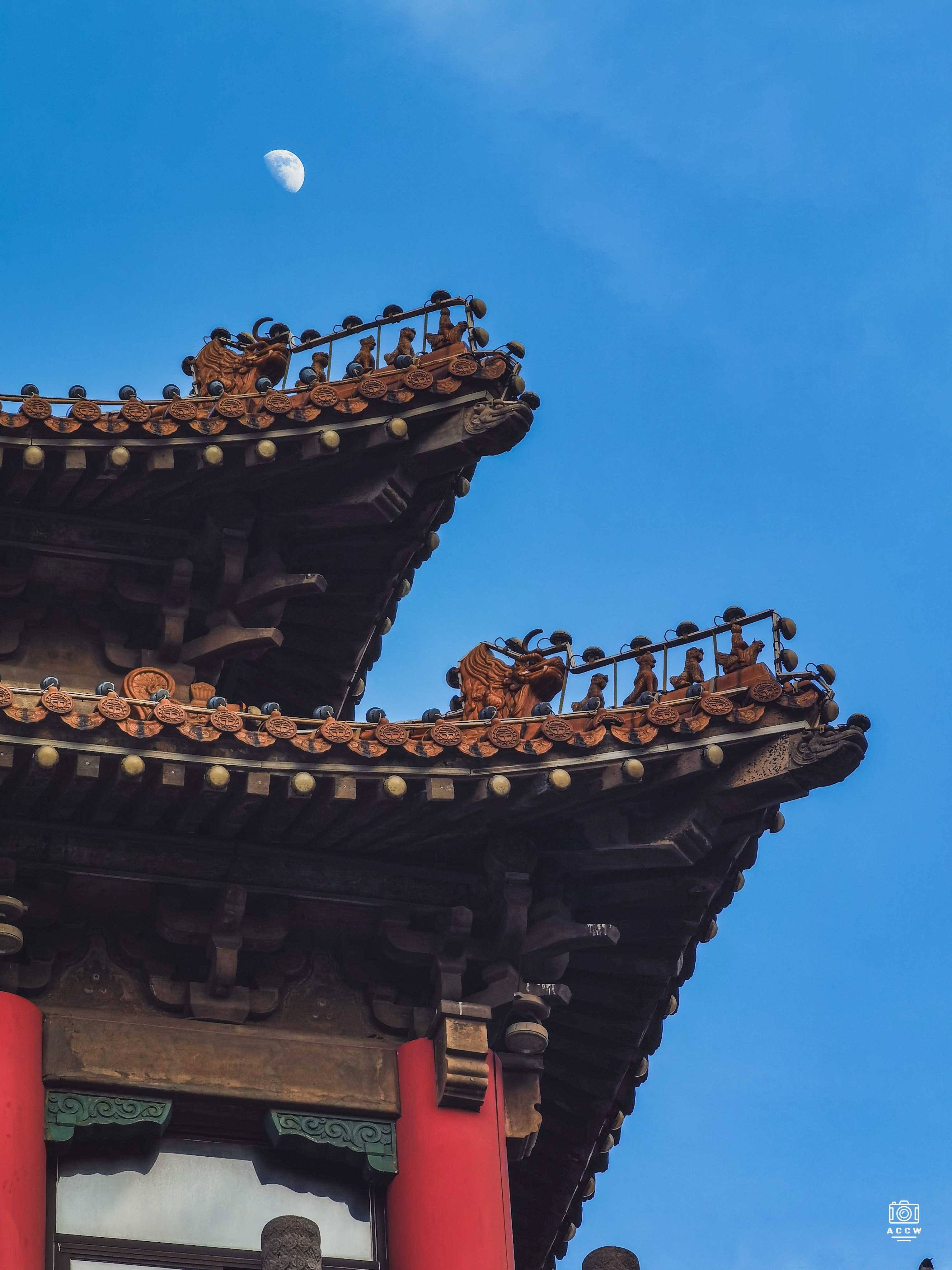 旧上海市博物馆 图片4