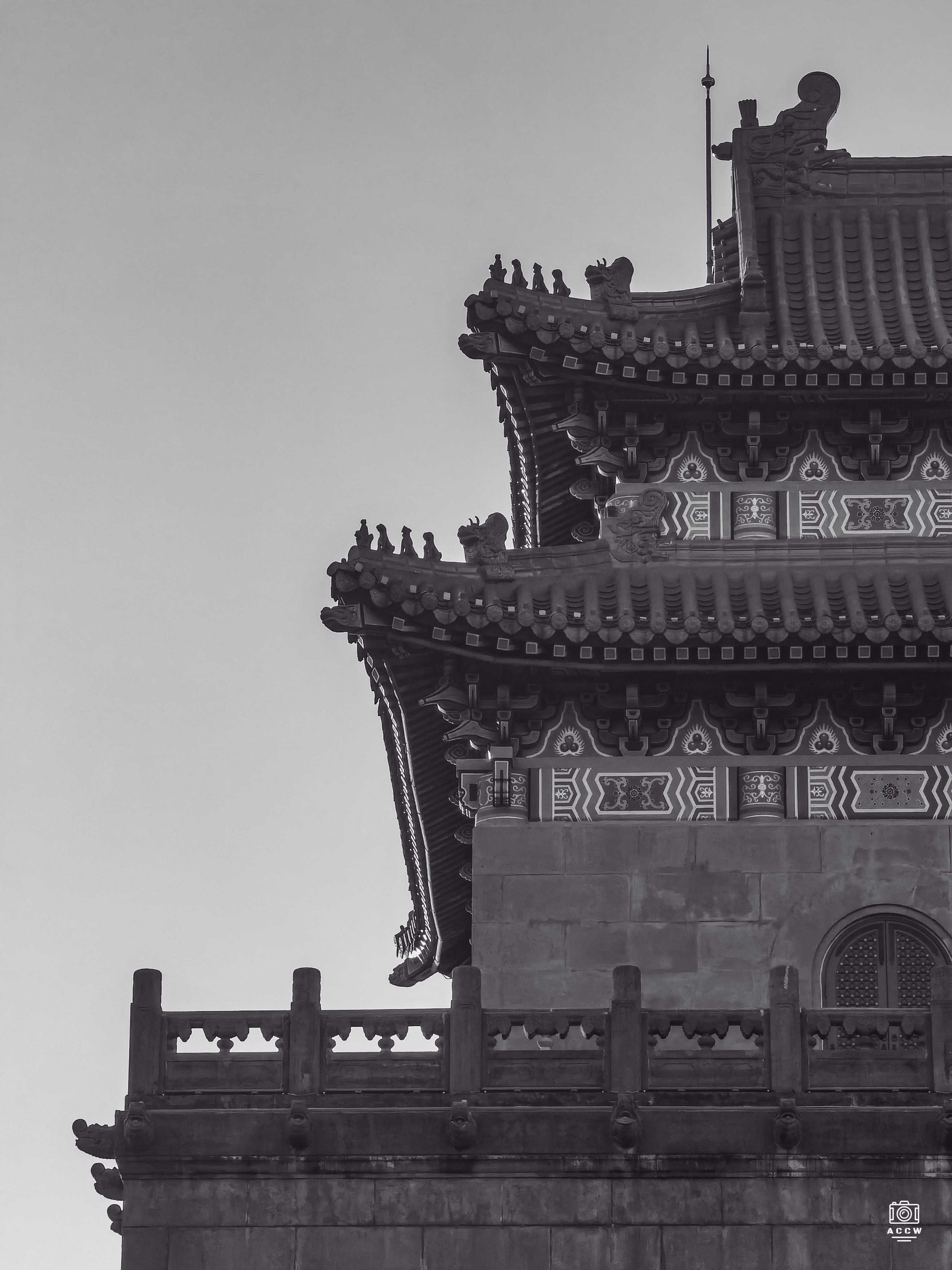 旧上海市图书馆 图片4