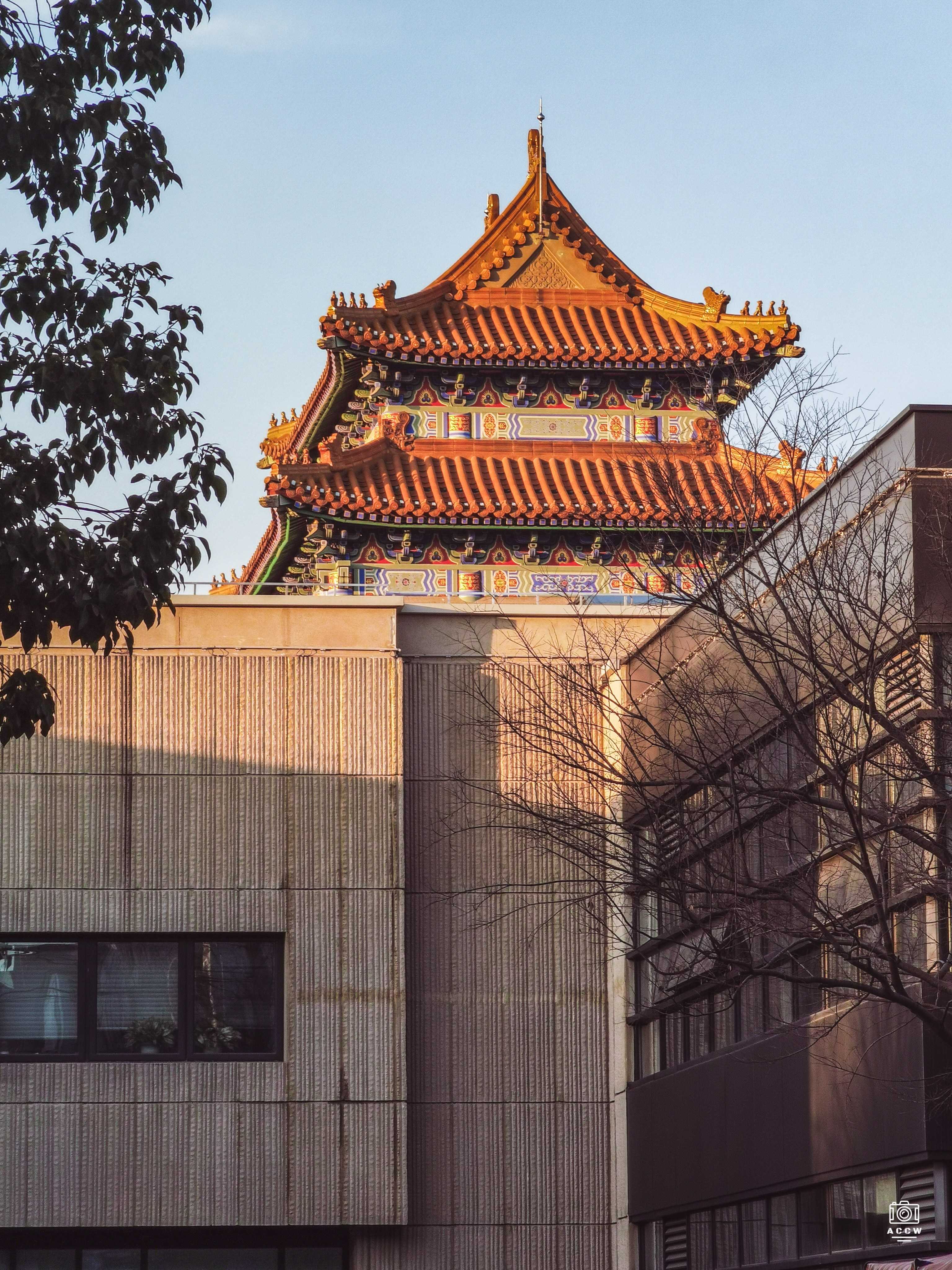 旧上海市图书馆 图片5