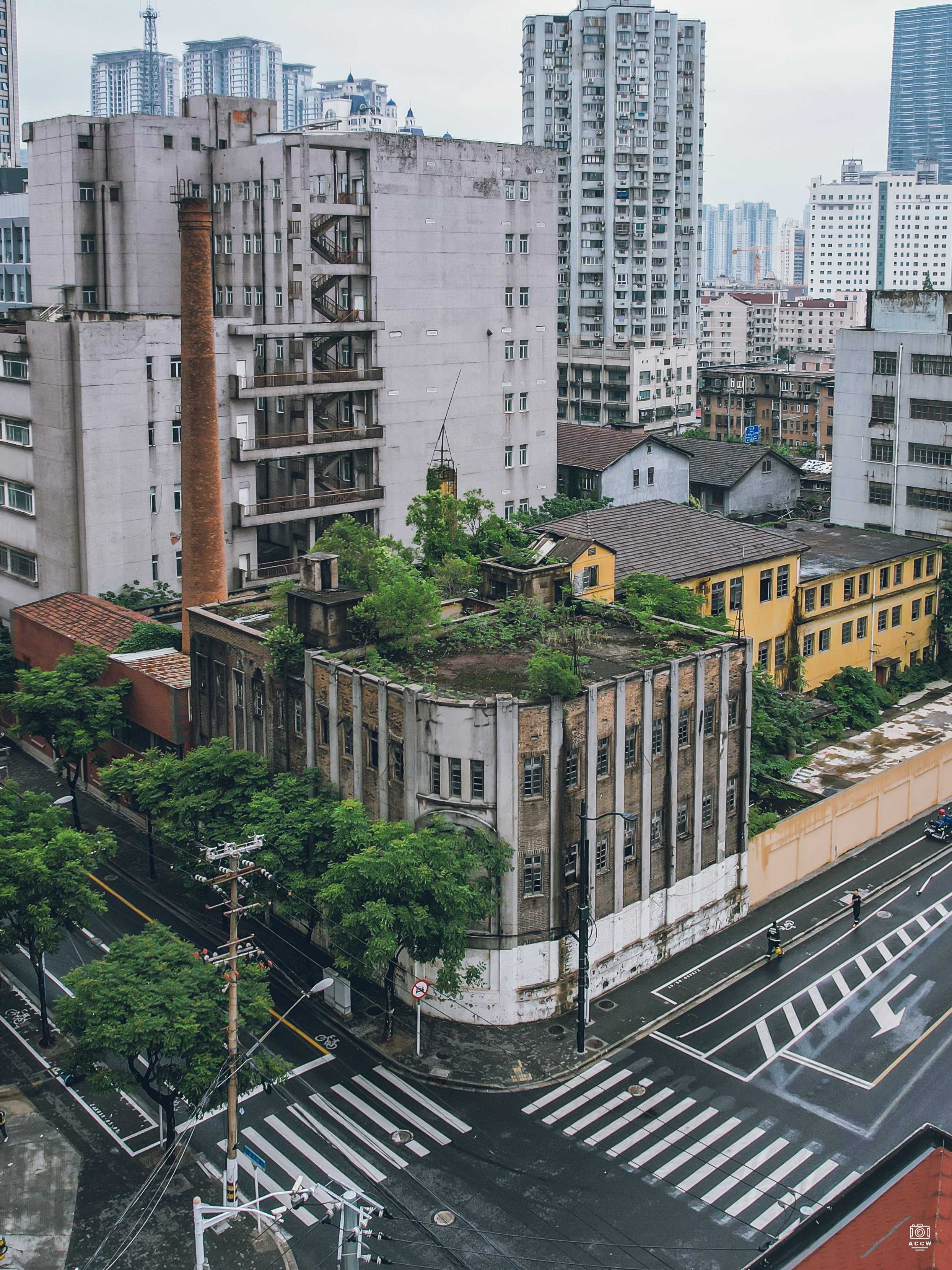 上海电话局闸北分局大楼 图片6