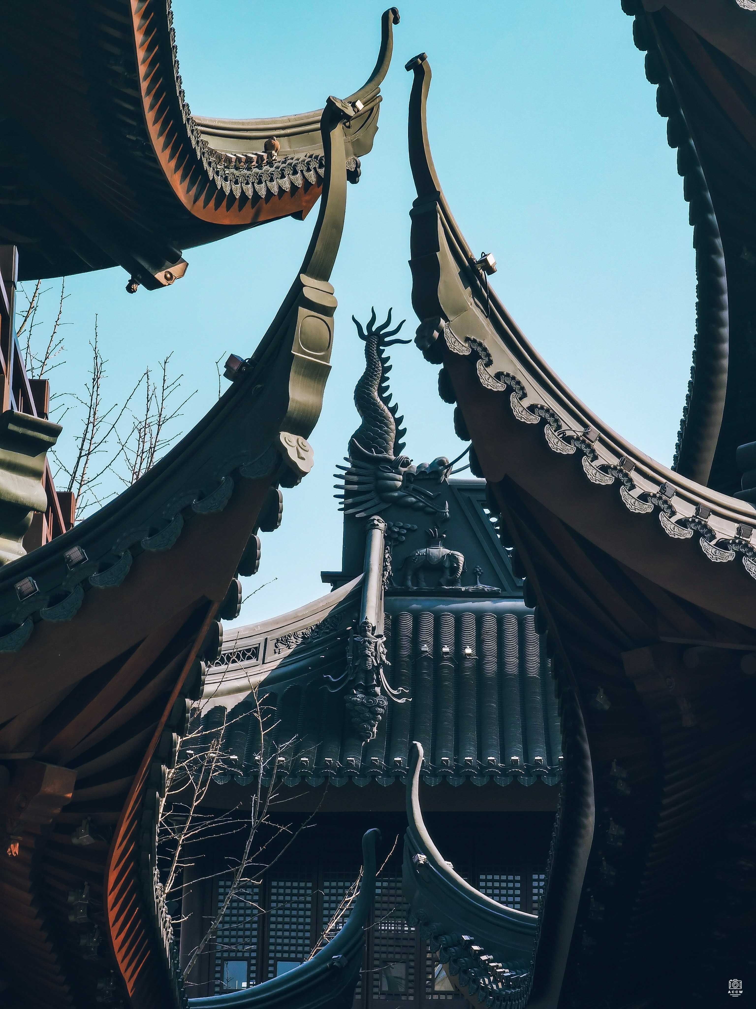 玉佛寺 图片2