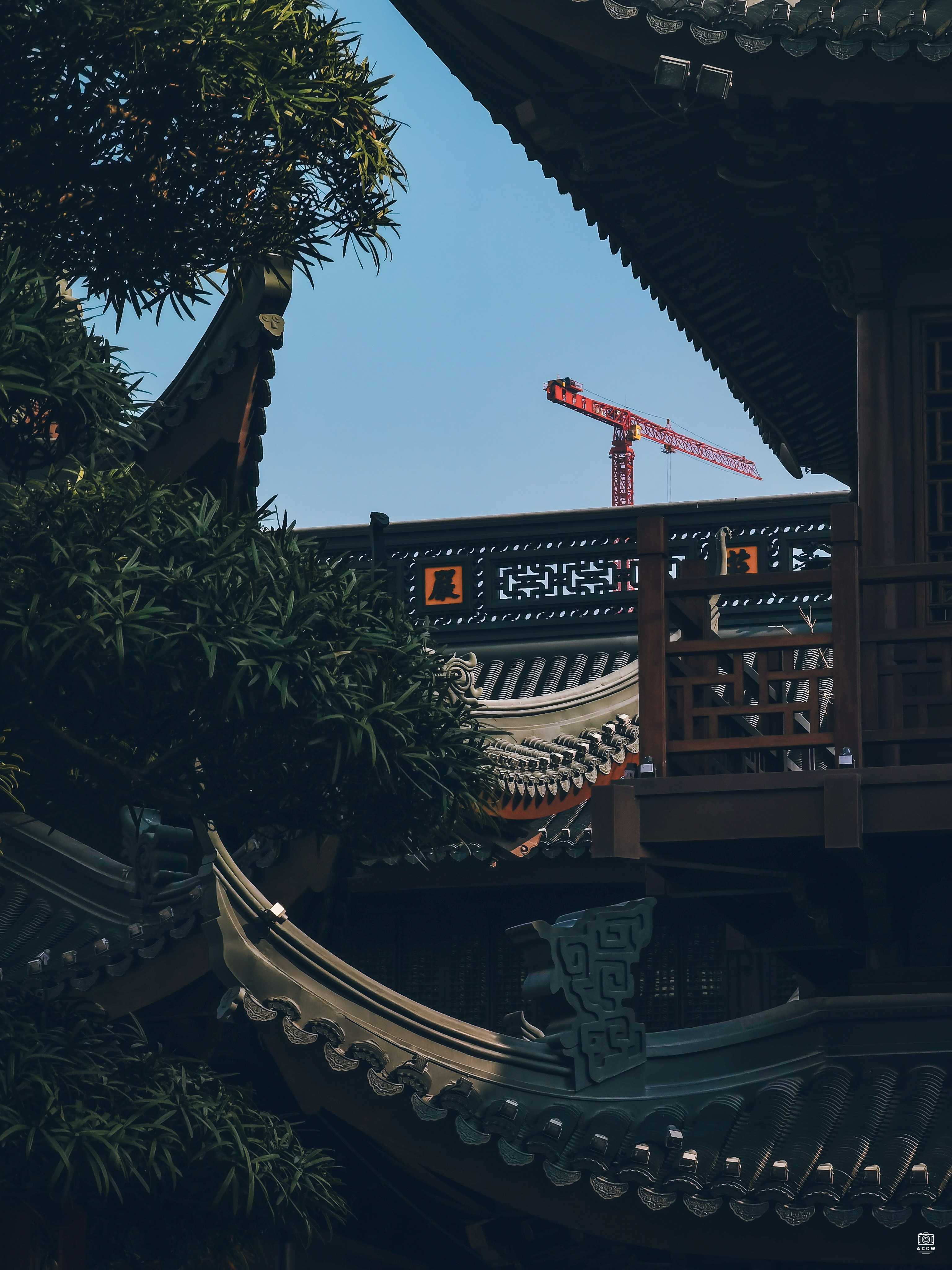 玉佛寺 图片3