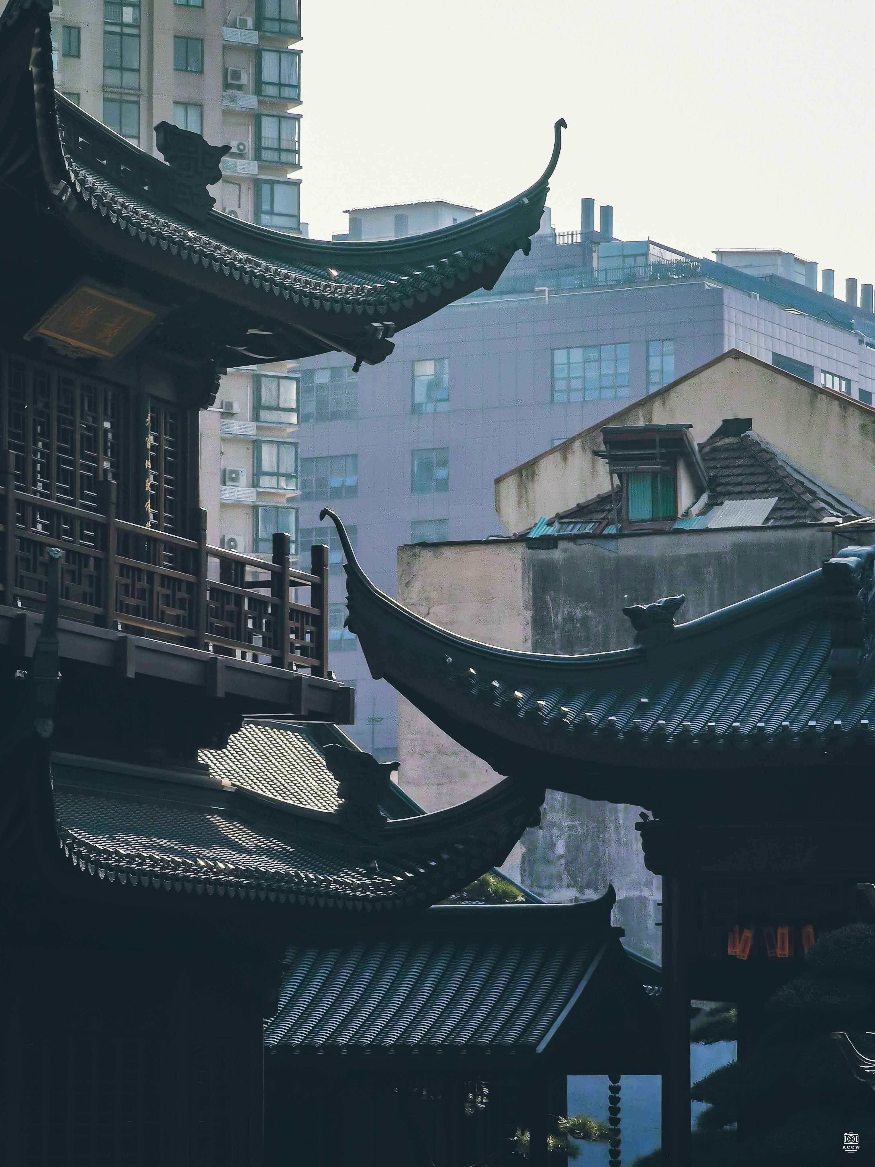 玉佛寺 图片4
