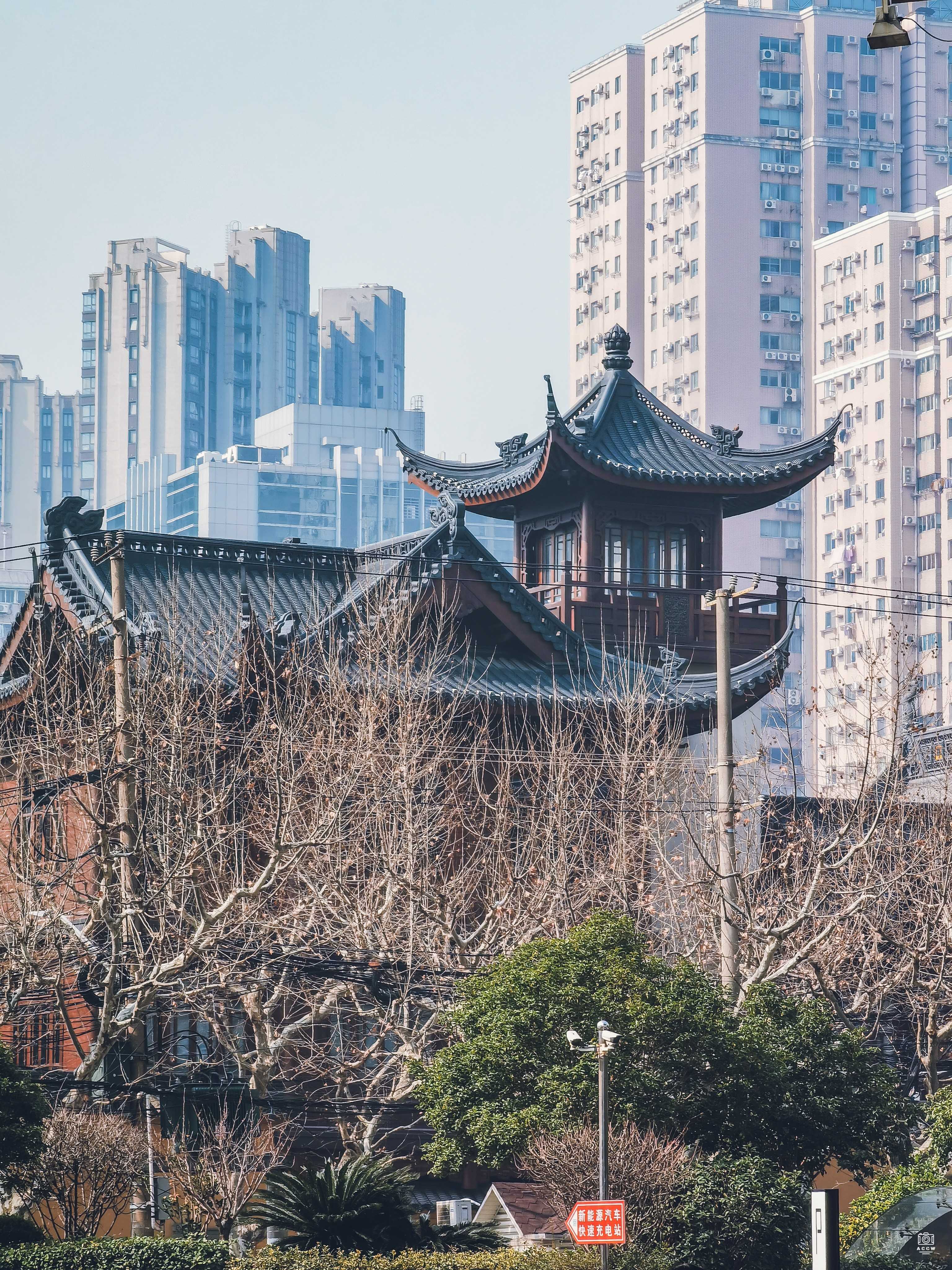 玉佛寺 图片5