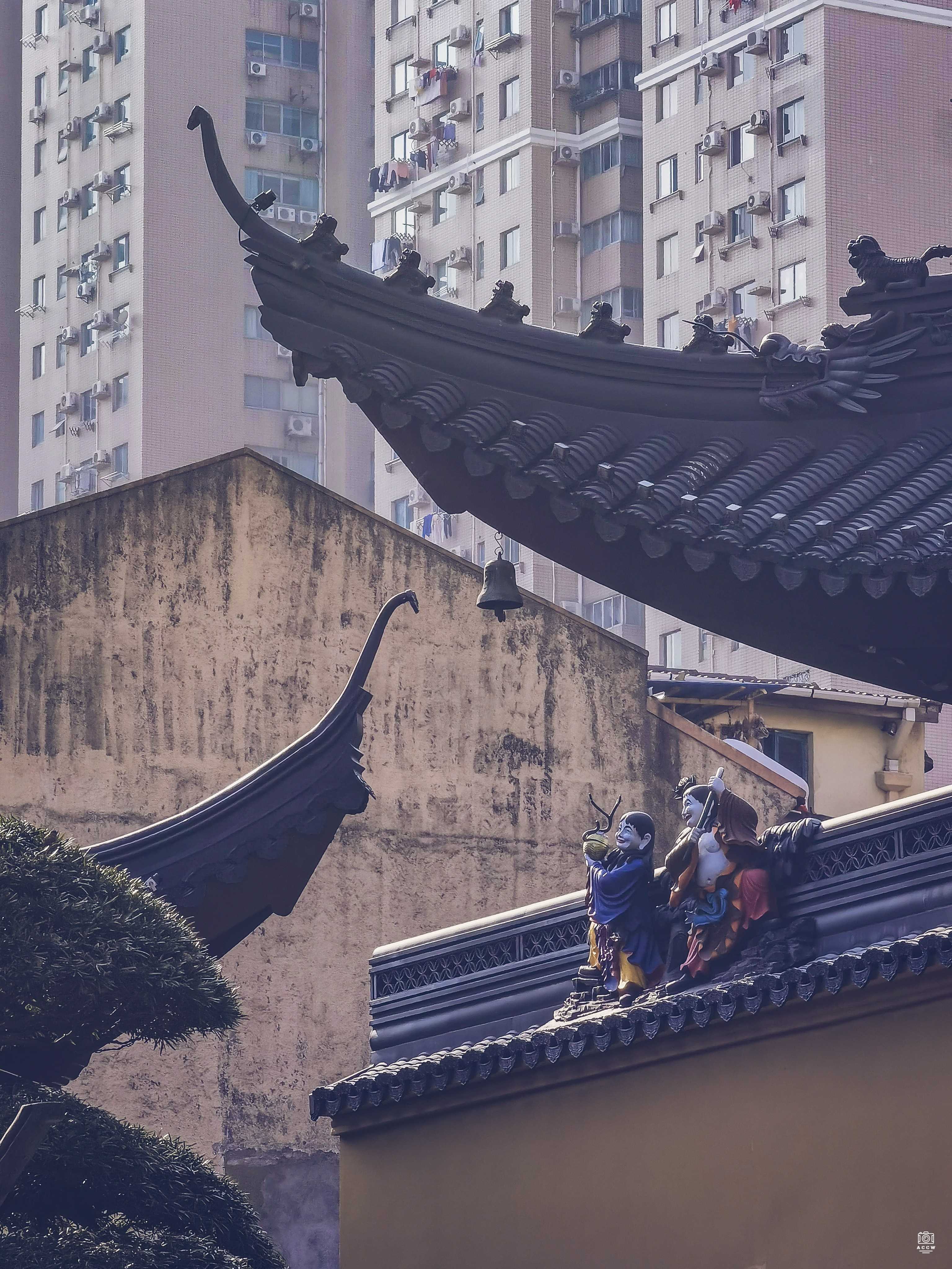 玉佛寺 图片6