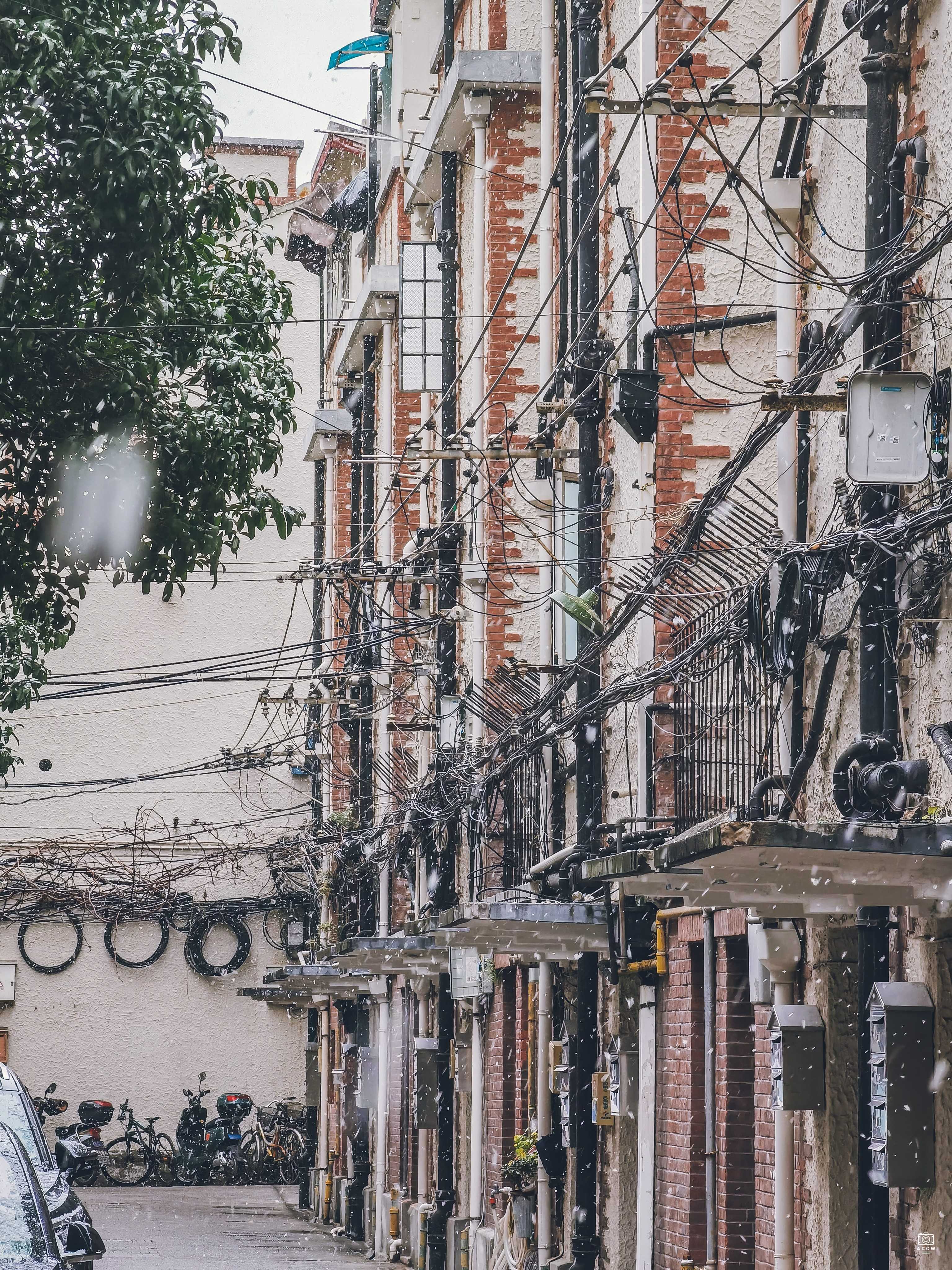 大胜胡同 图片5