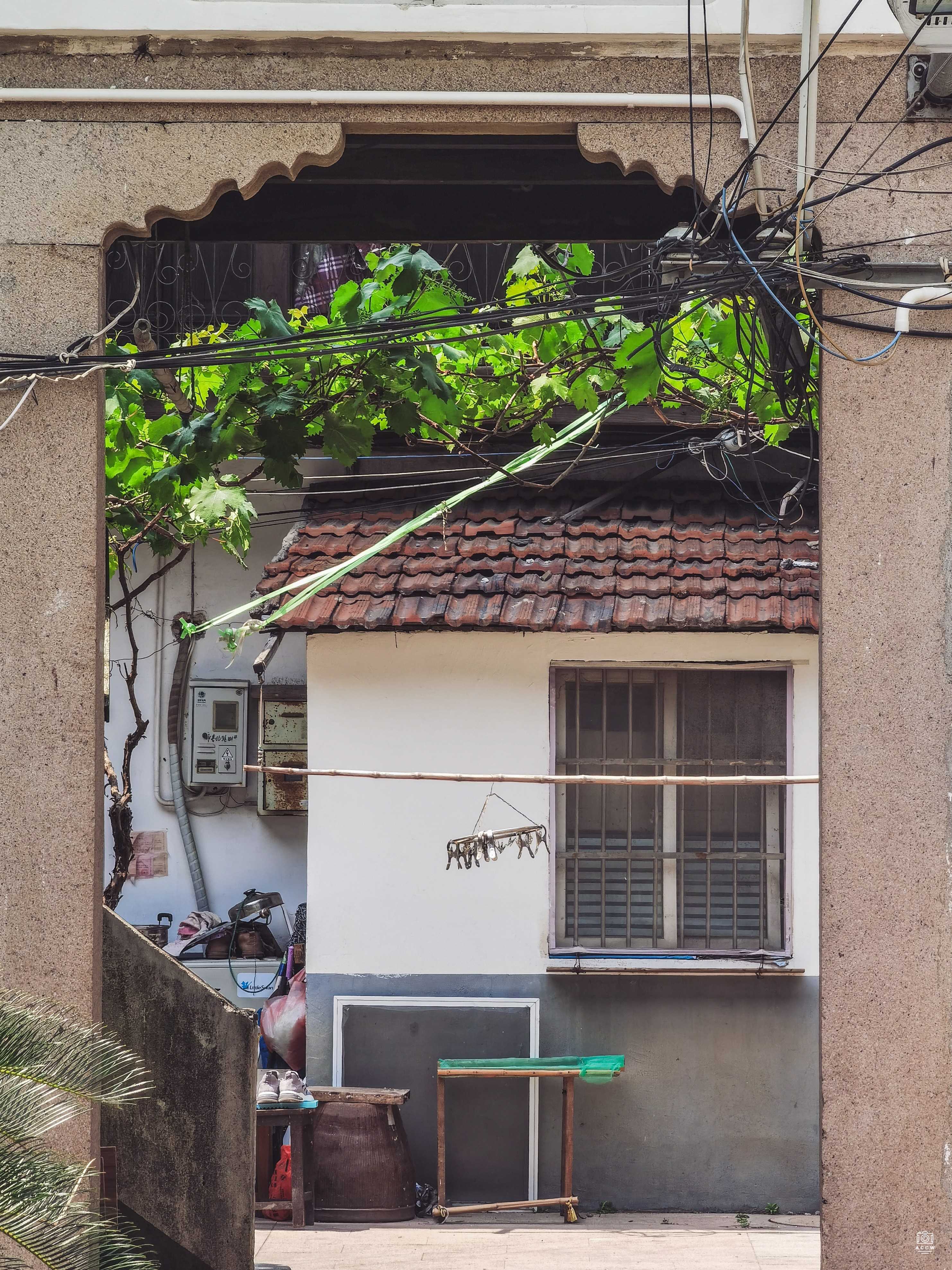 大团永春北路民居 图片6