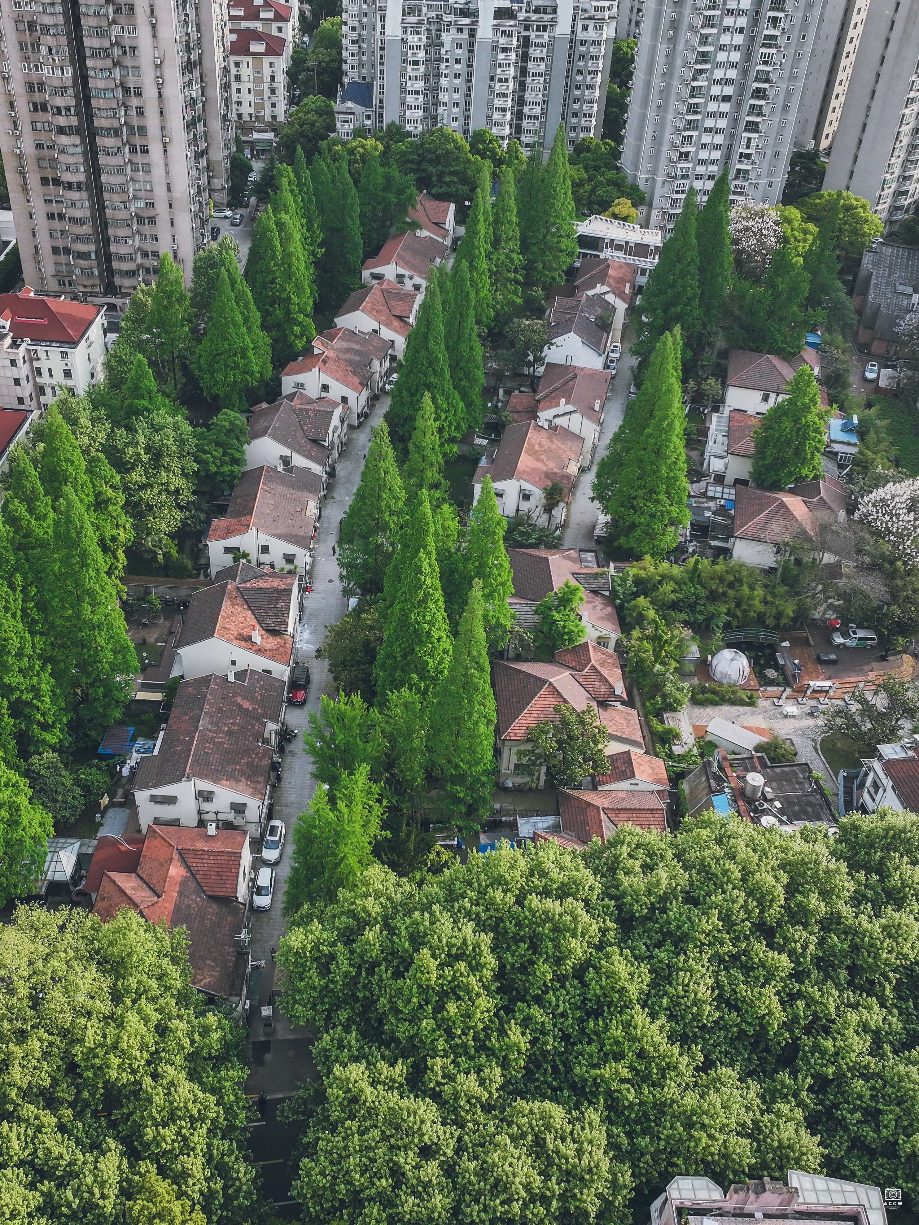 梅泉别墅 图片4