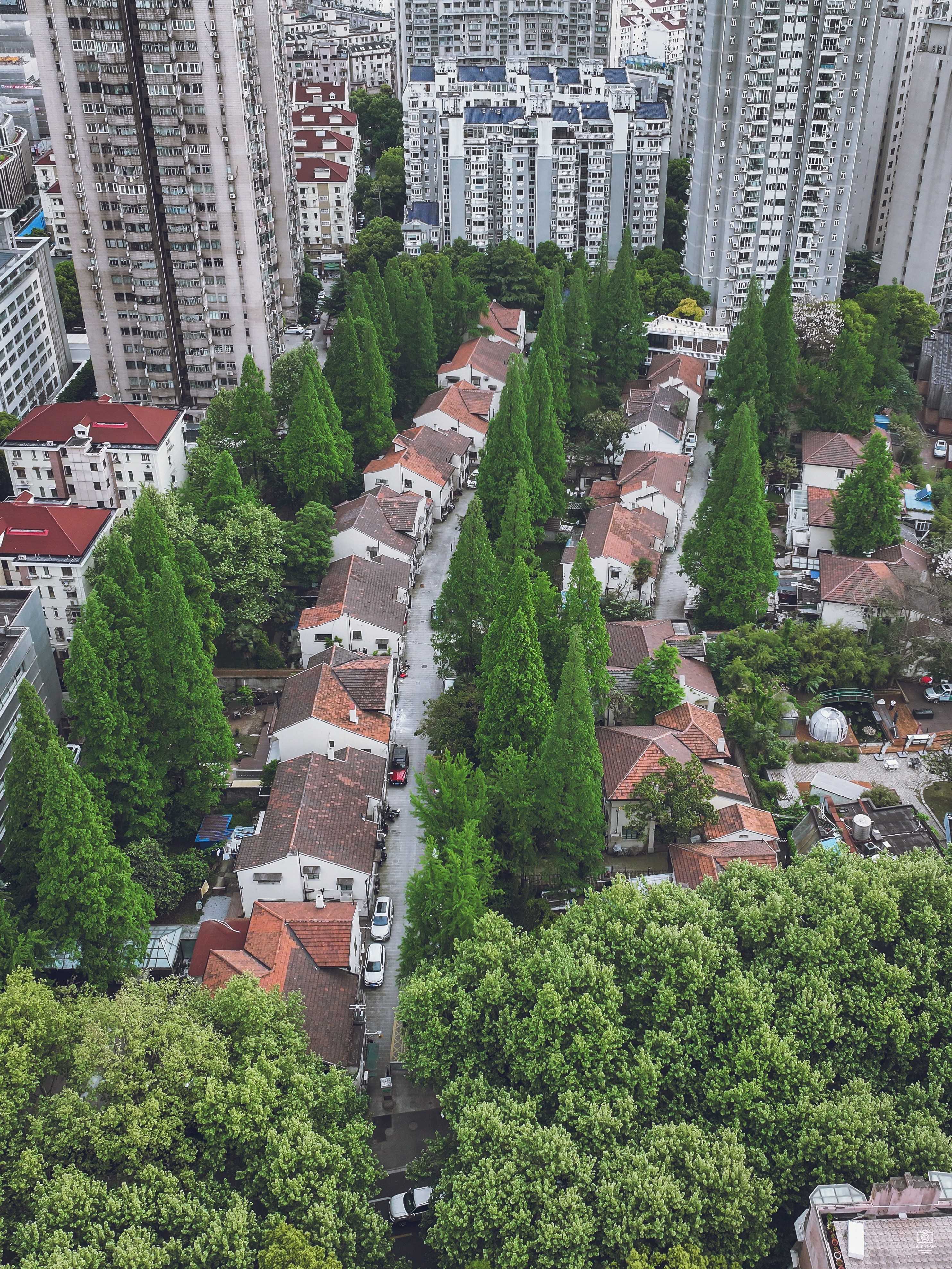 梅泉别墅 图片5